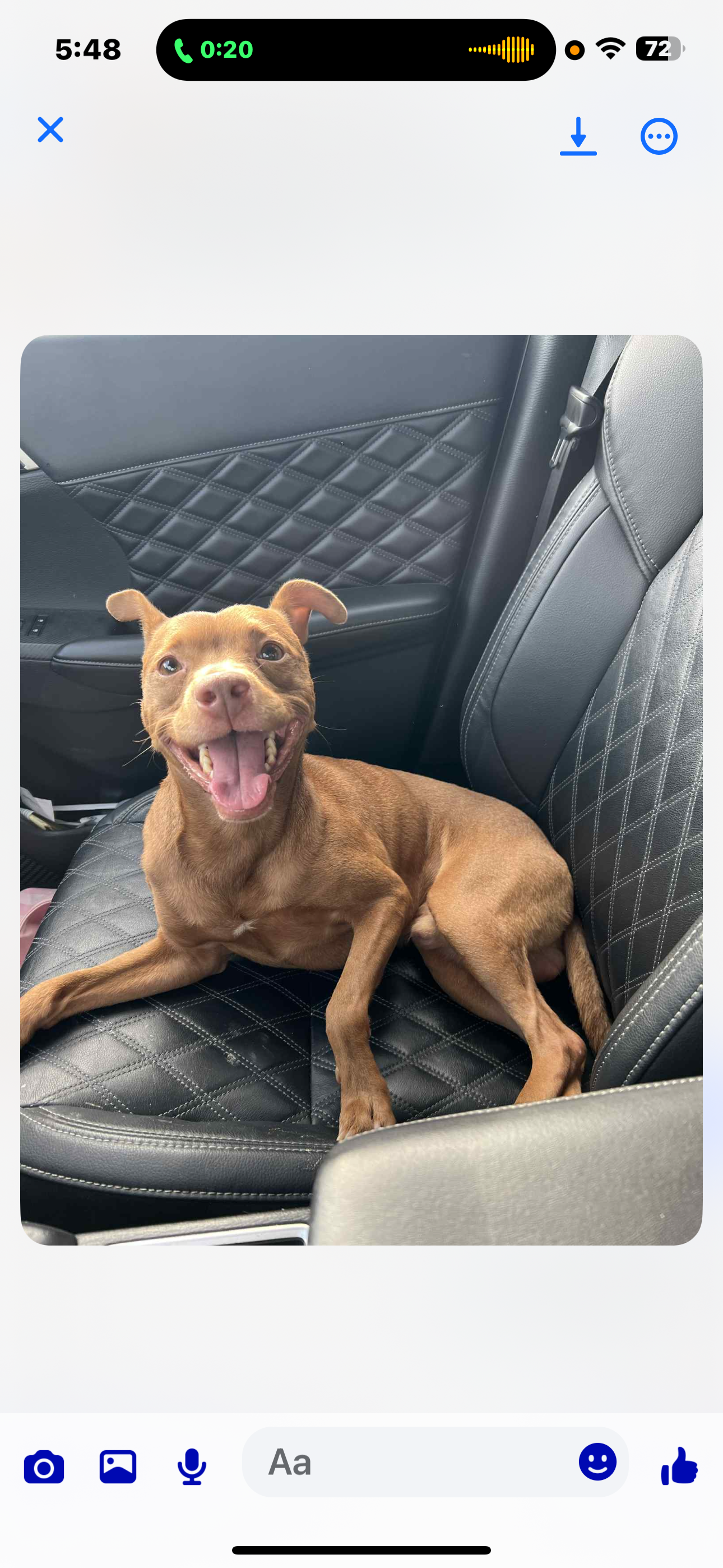 Give Ferdinand a Chance at a Happy Life campaign photo, 6 of 8