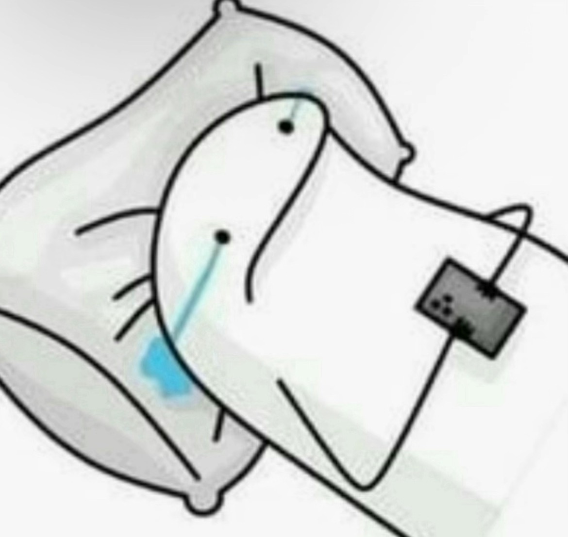 User-uploaded image 1