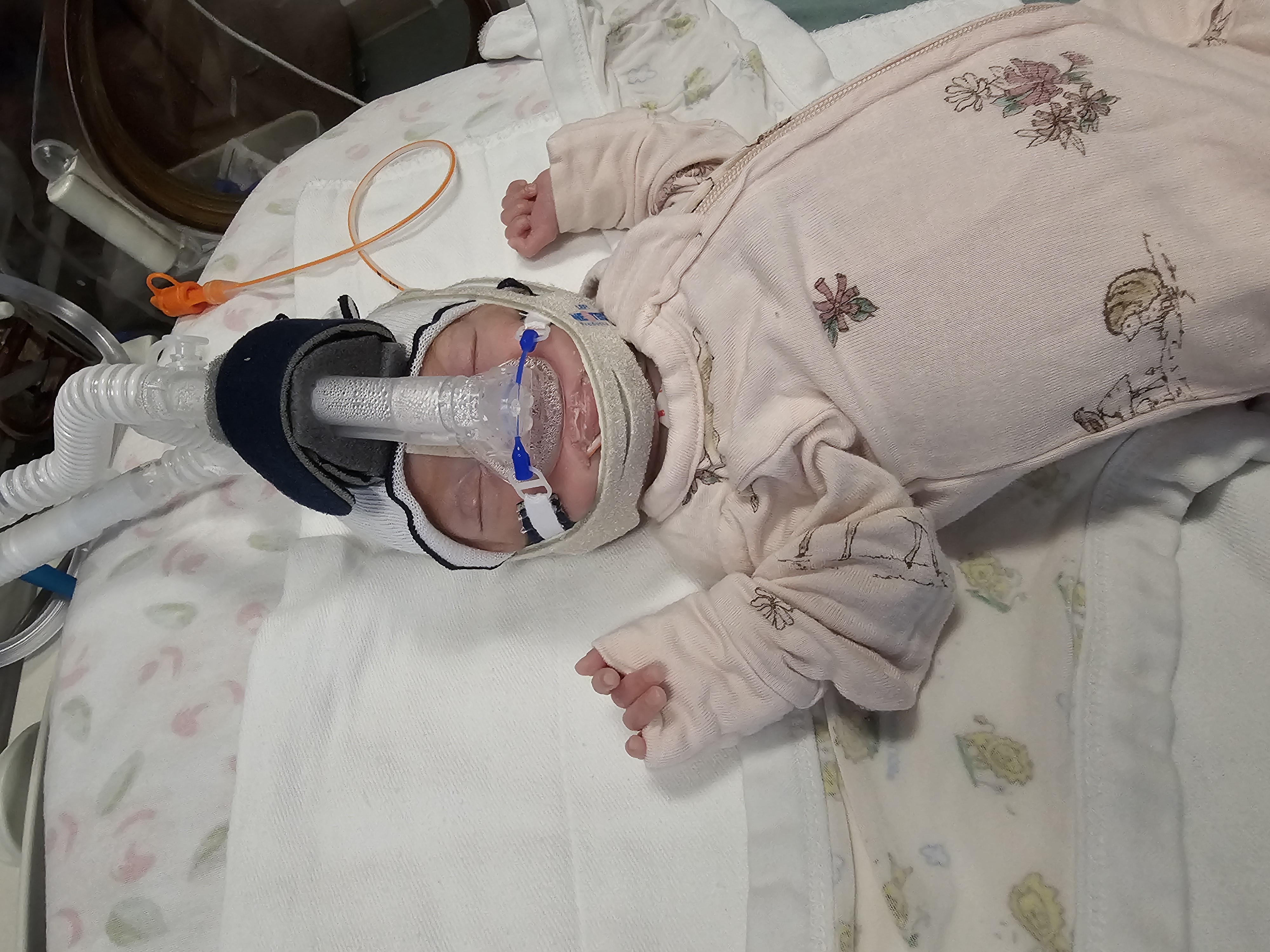Baby Lulas NiCU fund campaign photo, 6 of 7