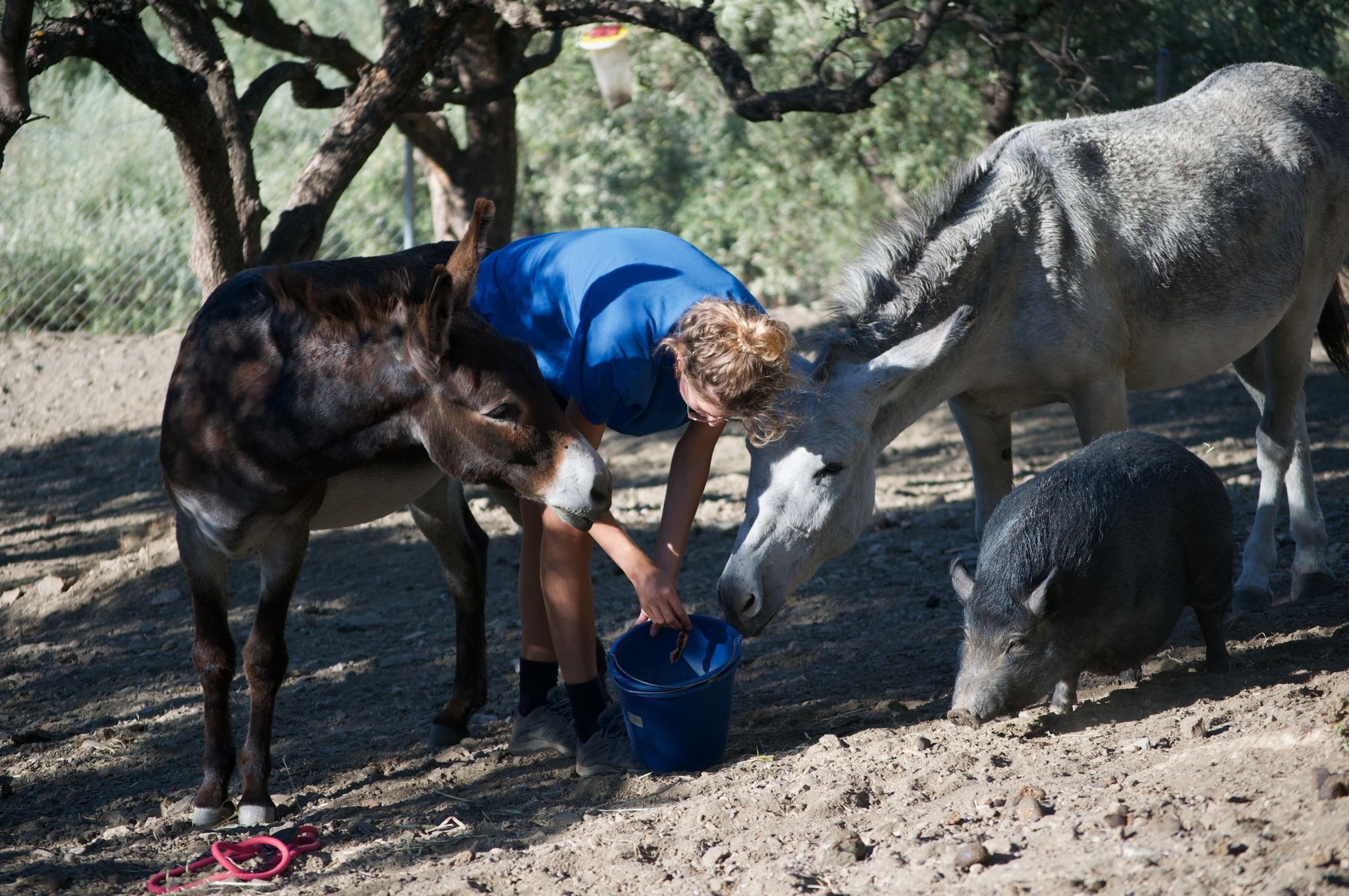 New Donkey House campaign photo, 4 of 7