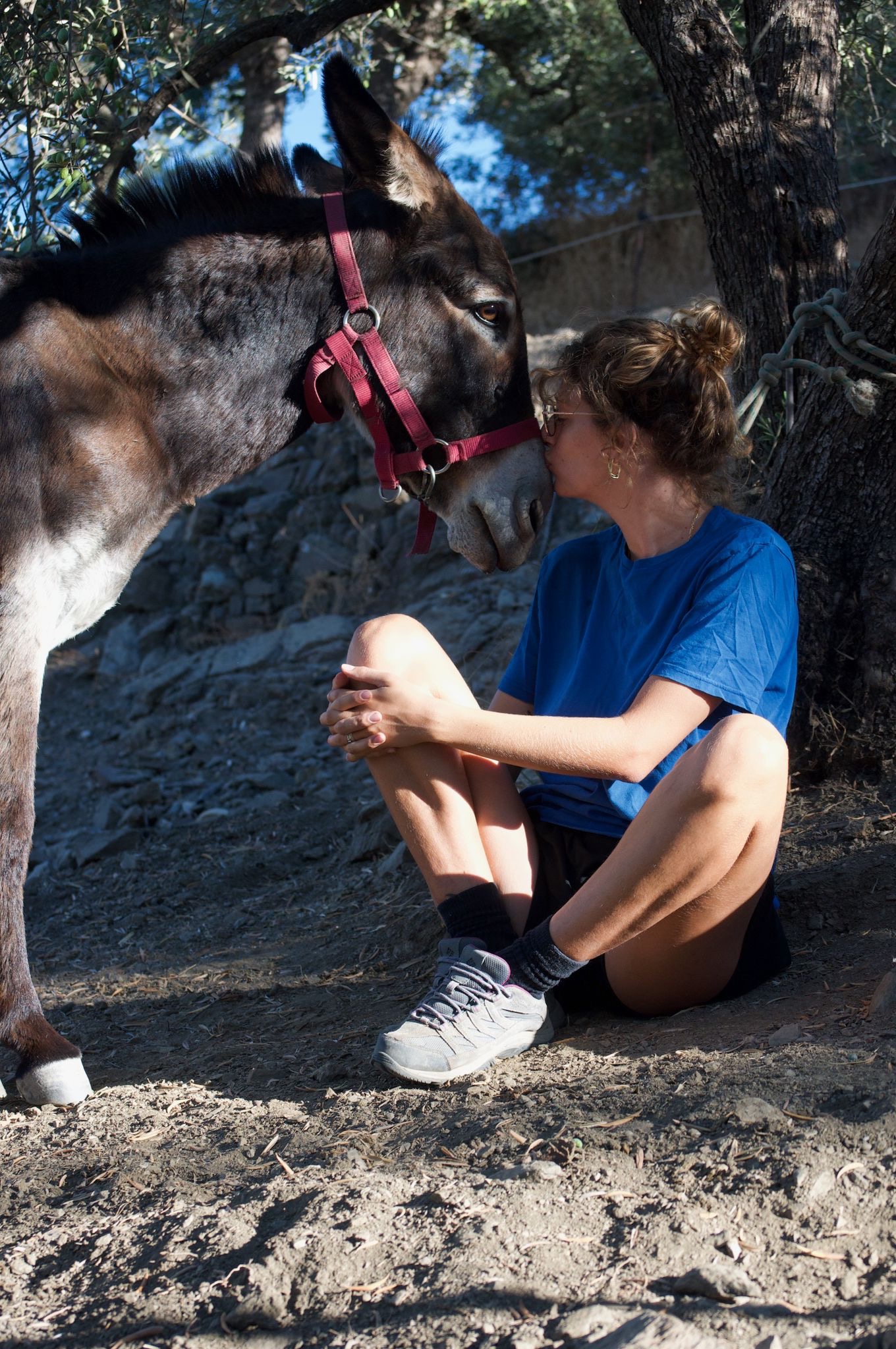 New Donkey House campaign photo, 6 of 7