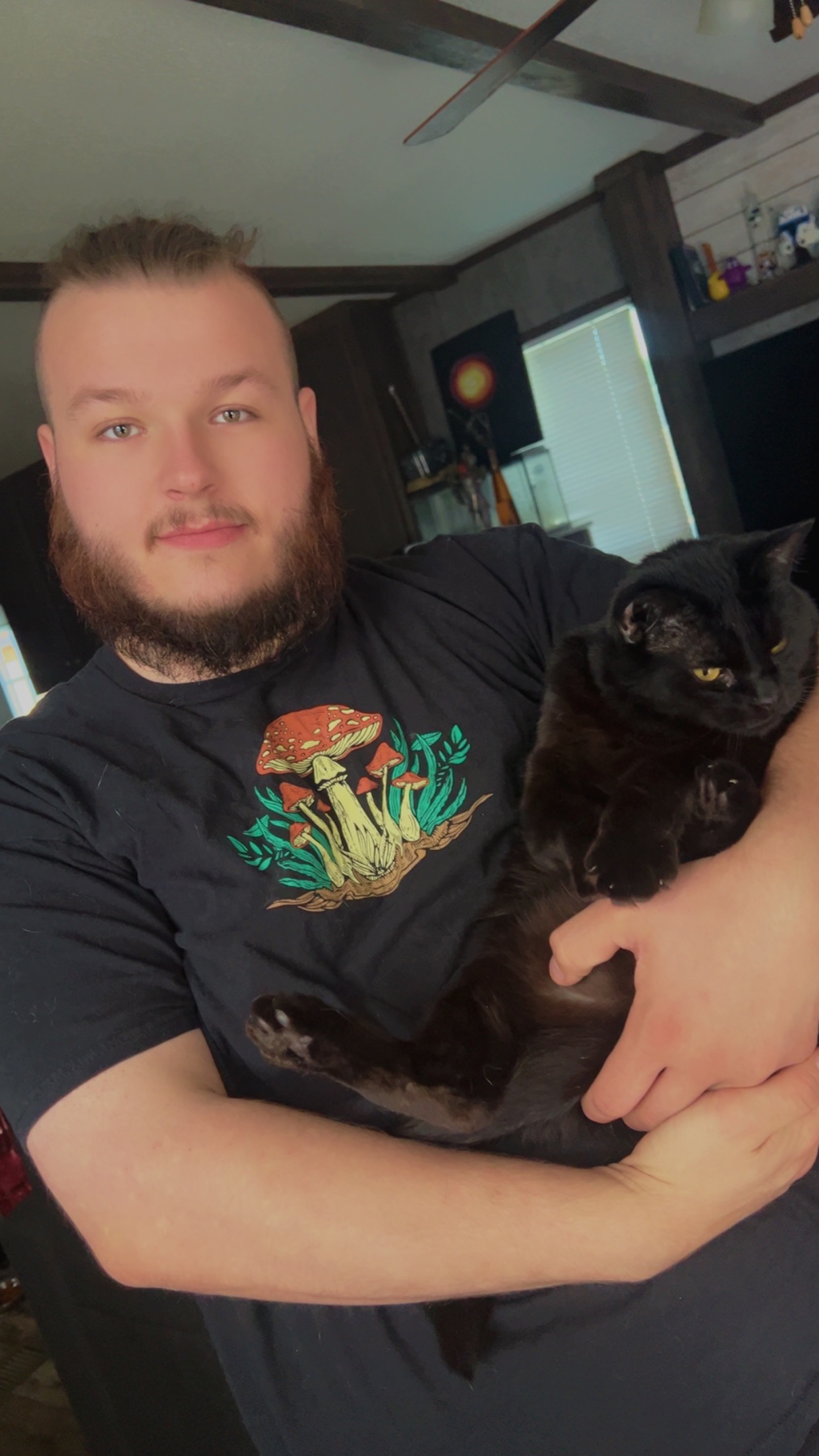 Lucifer’s vet fund! campaign photo, 6 of 7