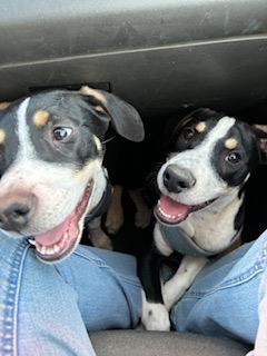 Support the Nevarez Family's Rescue Efforts campaign photo, 2 of 7