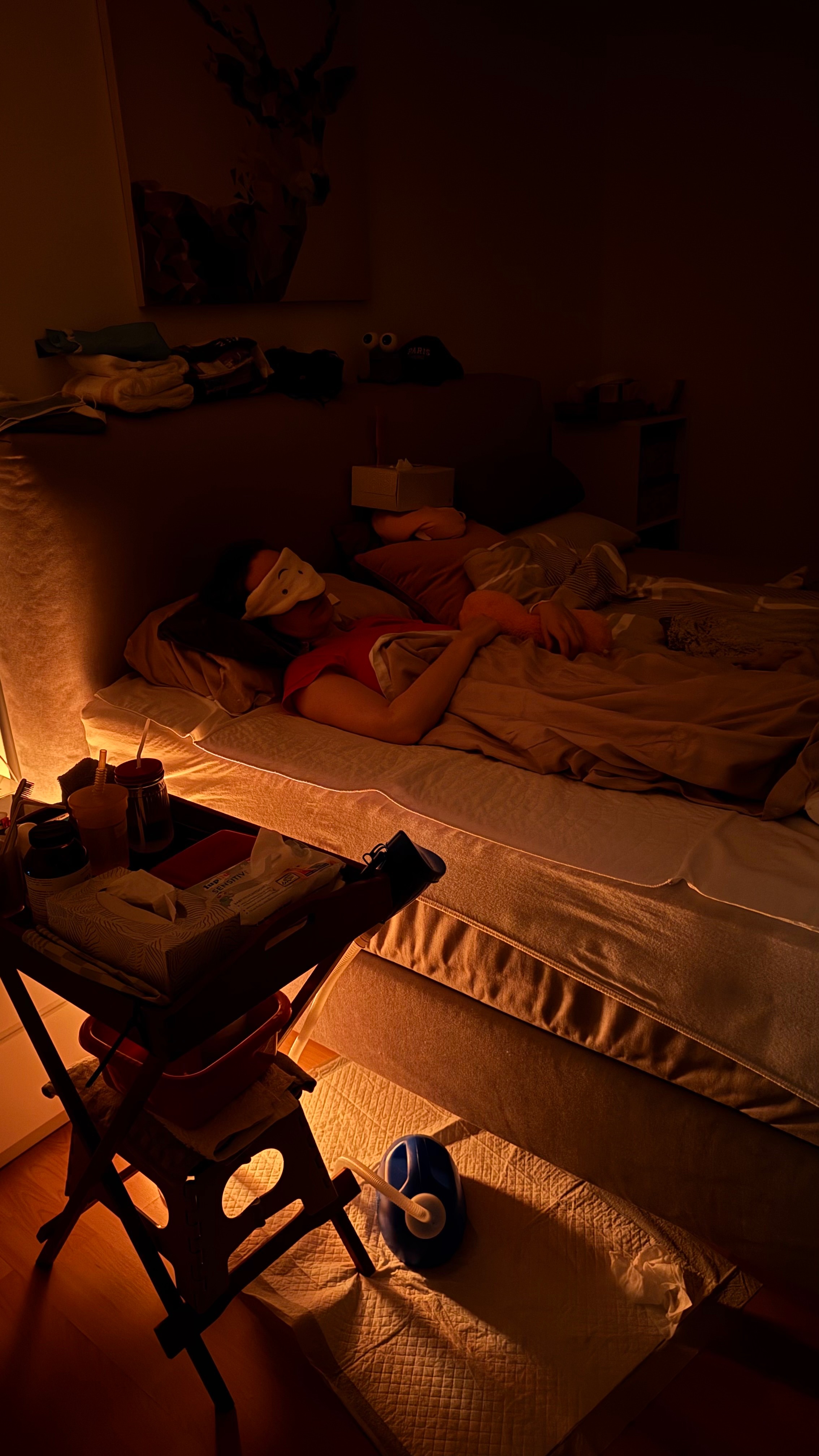 Hilfe für meine schwer kranke Schwester ME CFS, PostVac campaign photo, 6 of 7