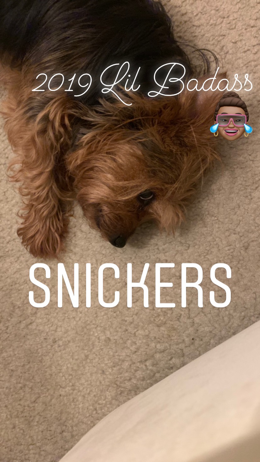 Please HELP Snickers campaign photo, 5 of 6