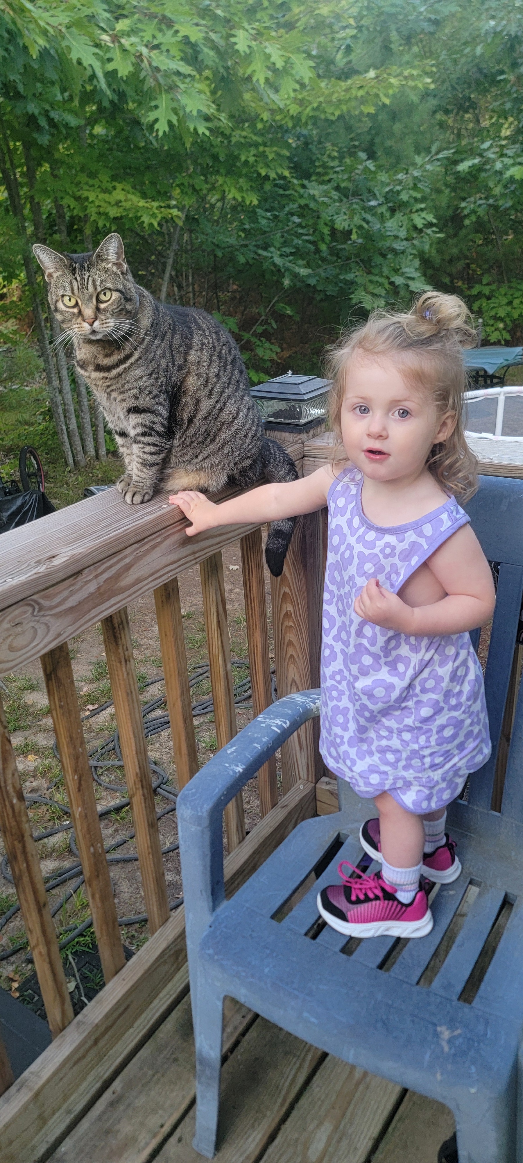 Help Oogie Boogie Get Life-Saving Surgery campaign photo, 2 of 8