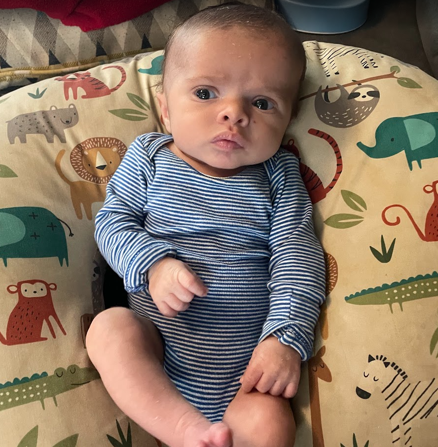 User-uploaded image 1