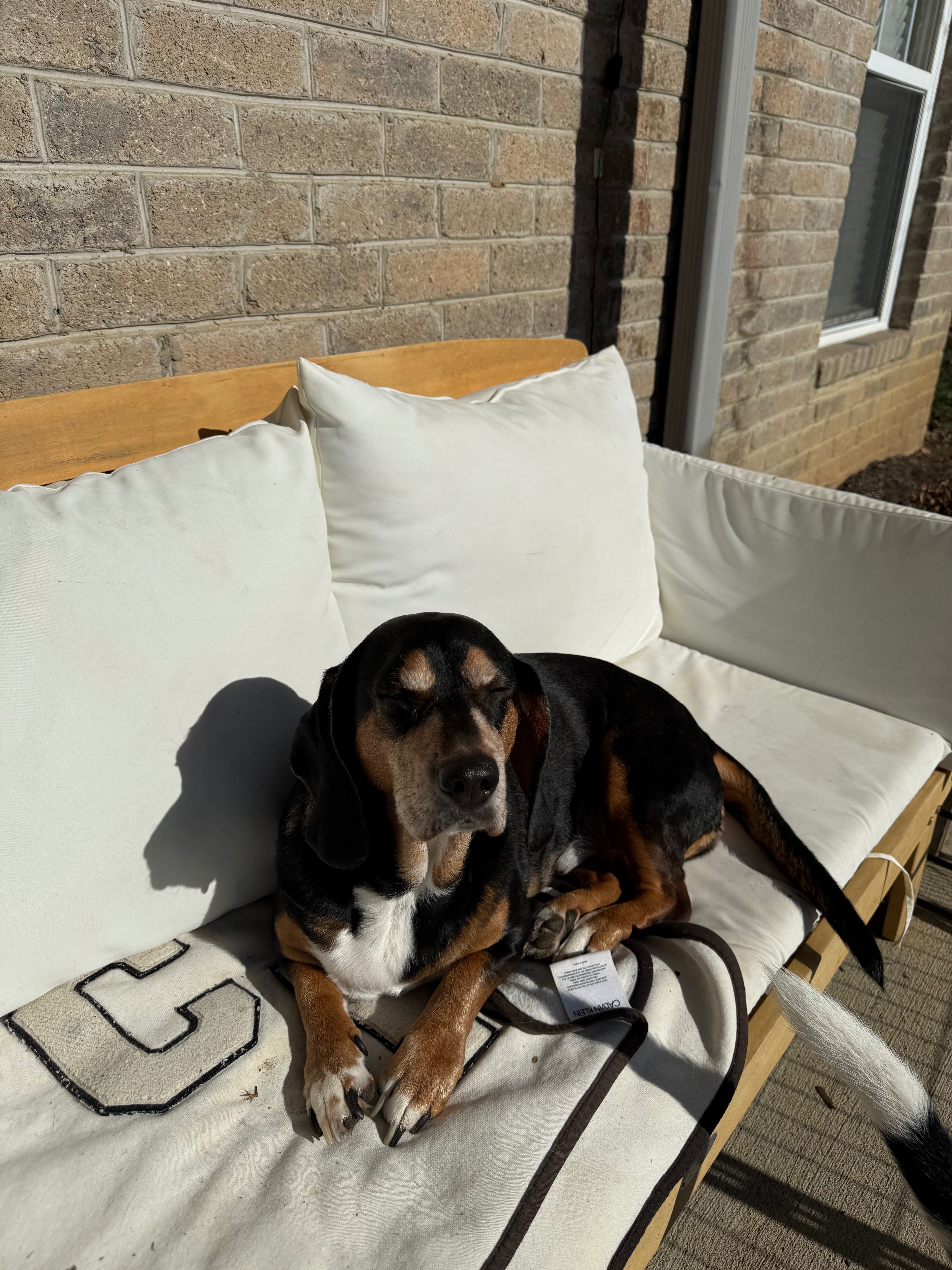 Help Charlie Fight Lymphoma campaign photo, 5 of 8