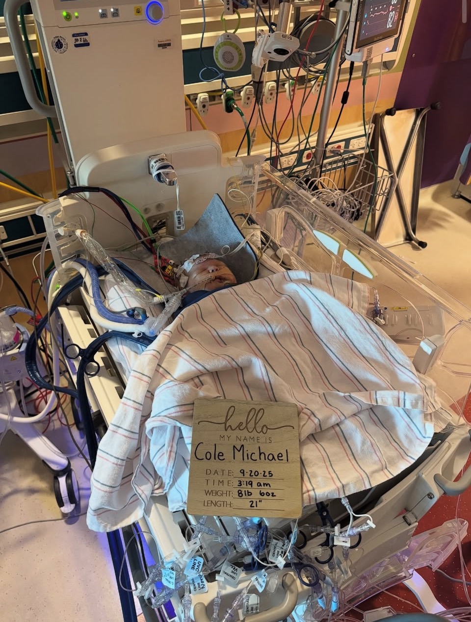 Support Baby Cole's Brave Heart Journey campaign photo, 6 of 7