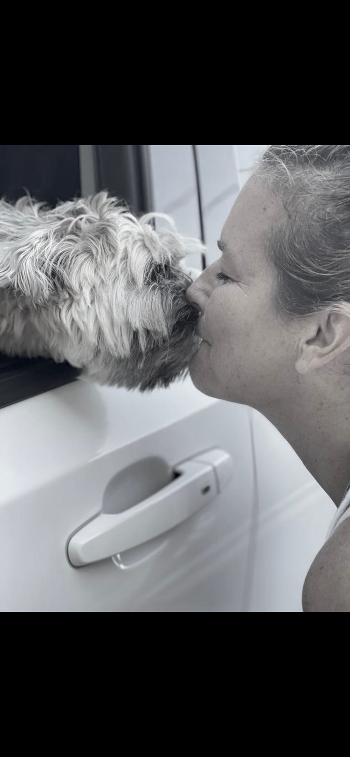 Give Lola a Chance to Heal campaign photo, 7 of 8
