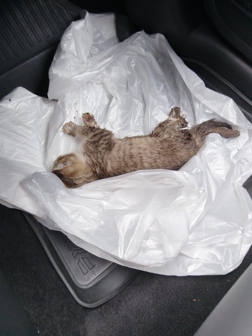 User-uploaded image 1