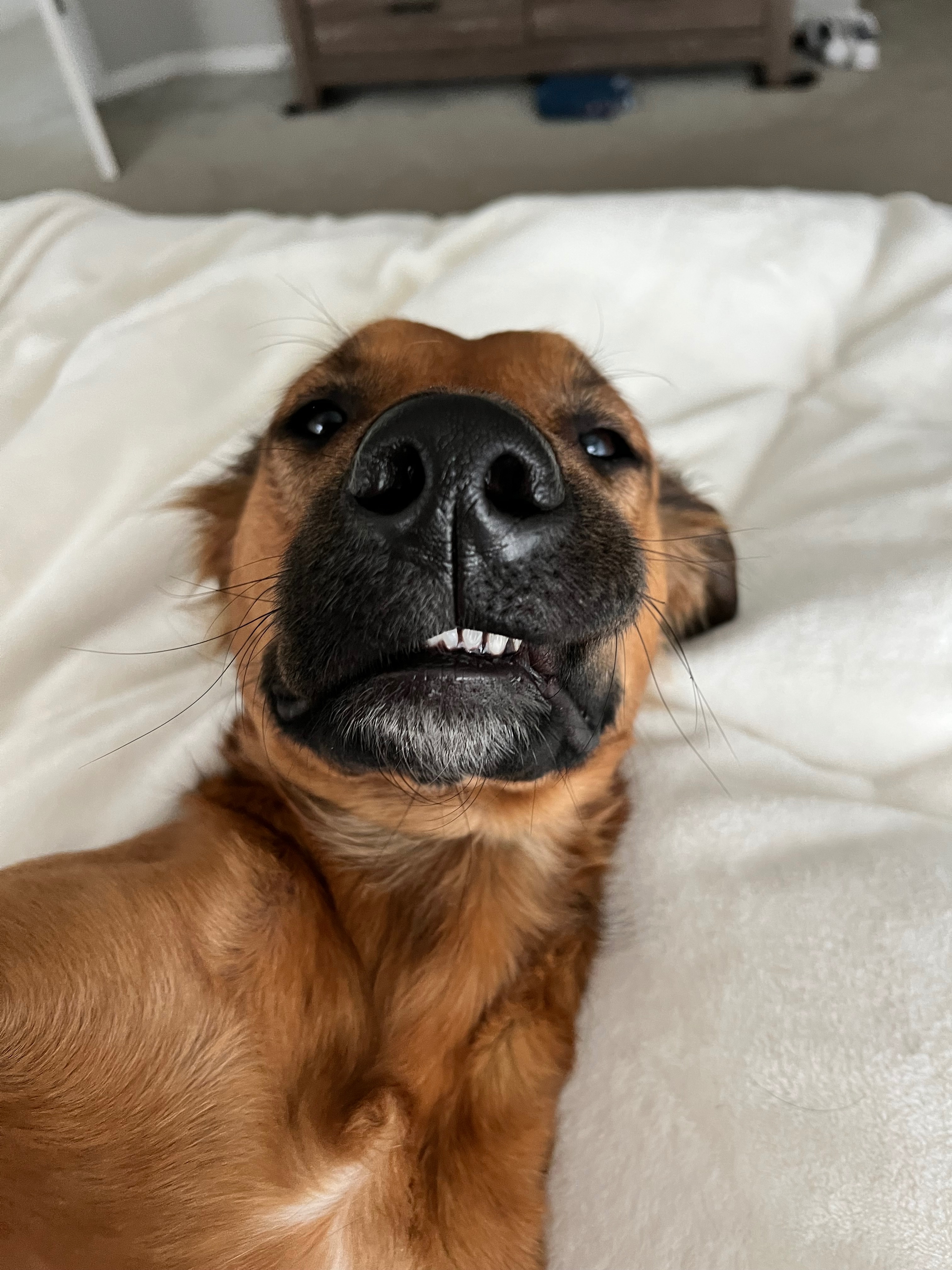 Tuukka’s Tumor Removal campaign photo, 5 of 7