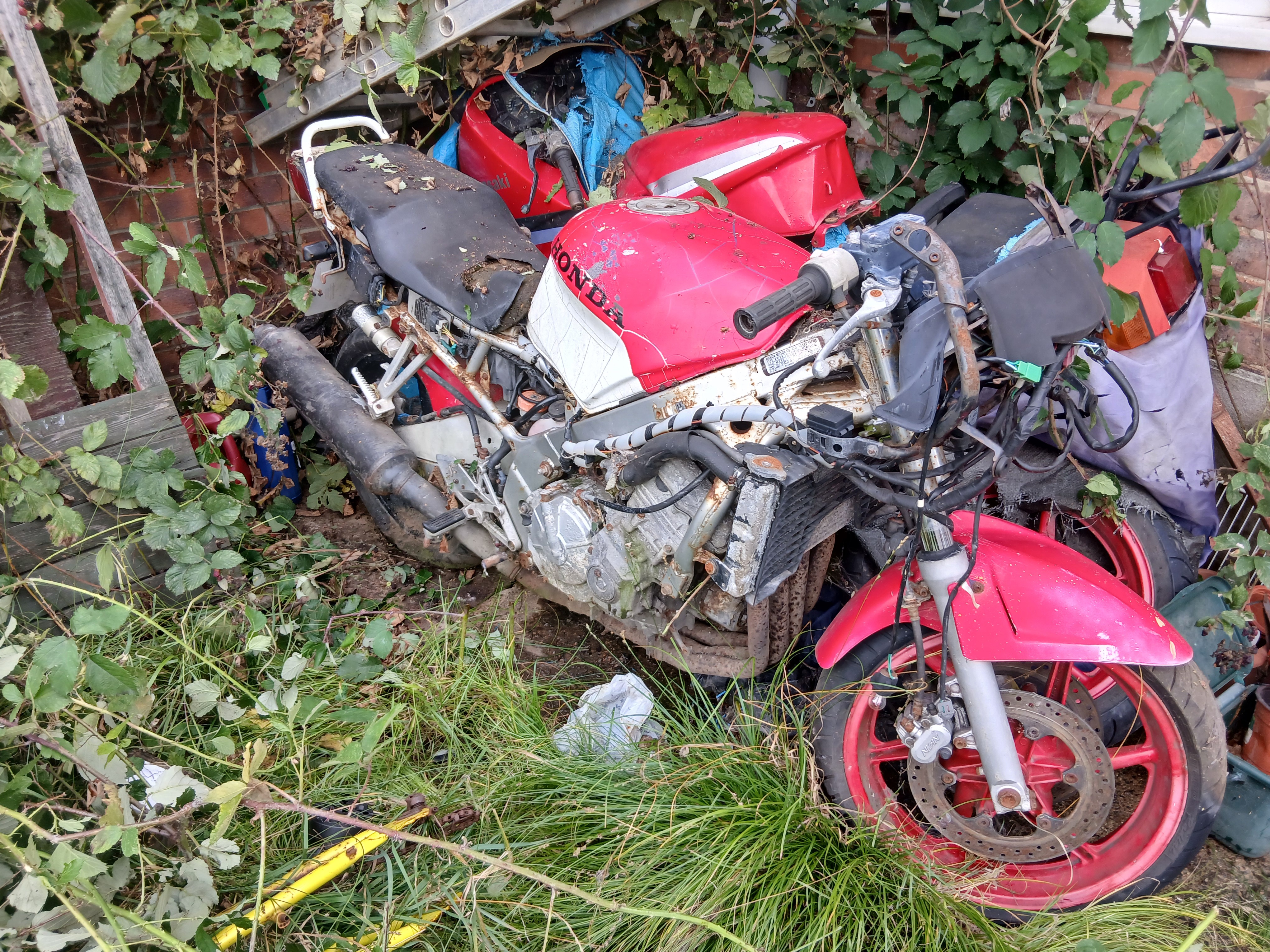 Steven Clark and his Honda cbr campaign photo, 6 of 8