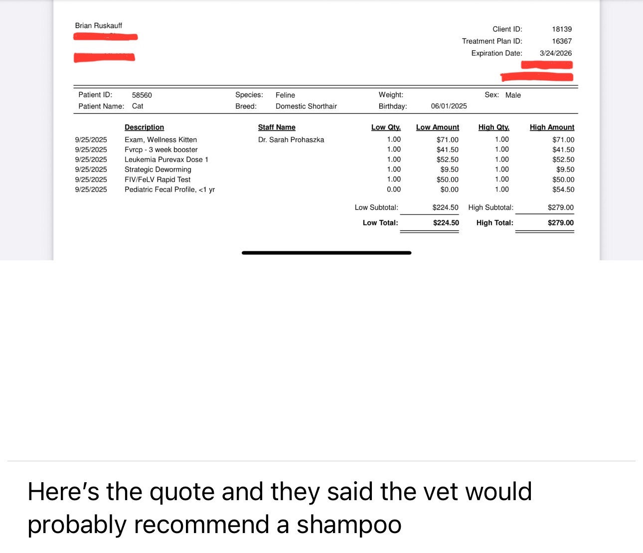 Dumped Kitten in Need of Care campaign photo, 5 of 7