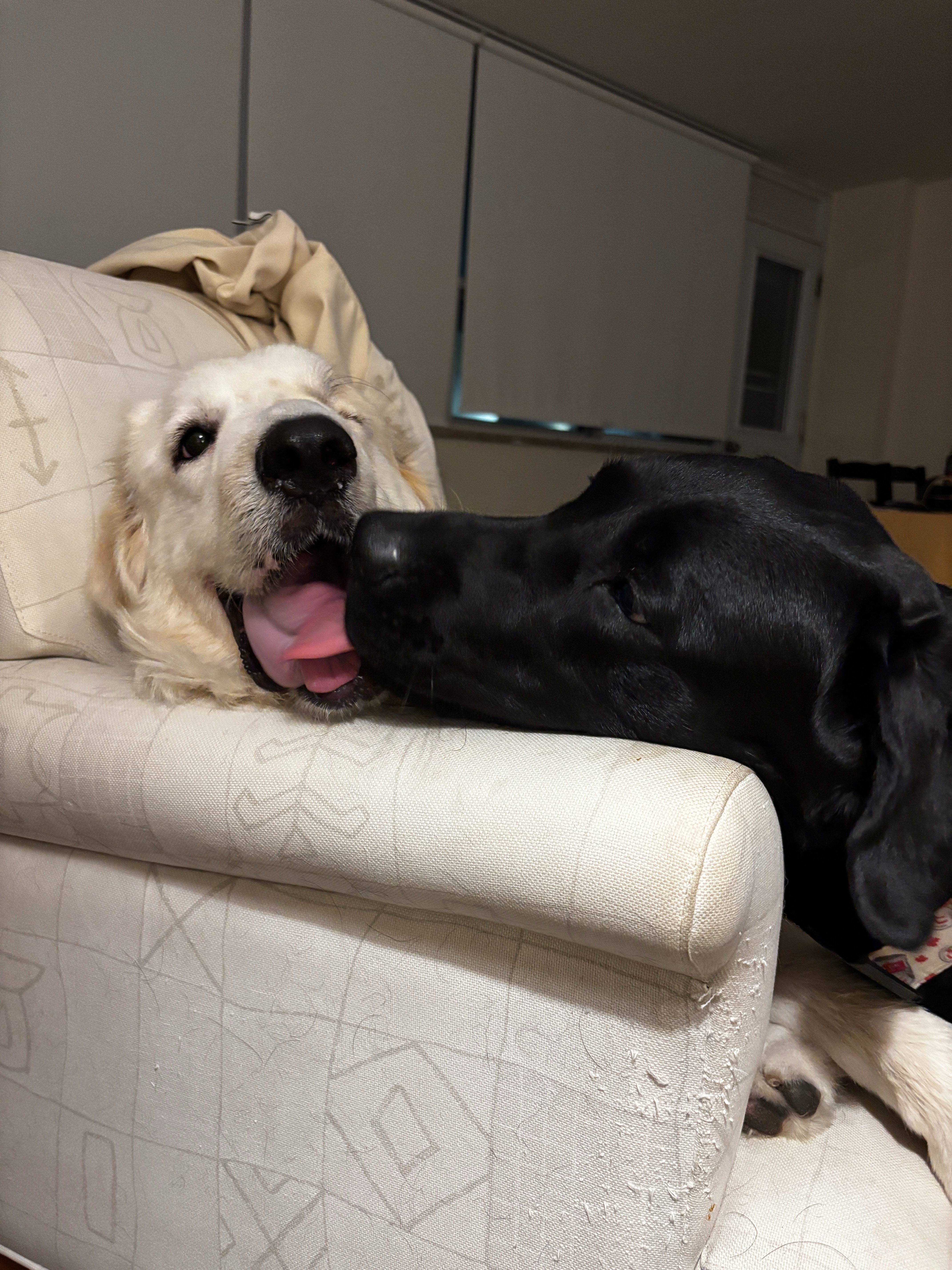 Care for Connie: Help our Courageous Girl! campaign photo, 4 of 8