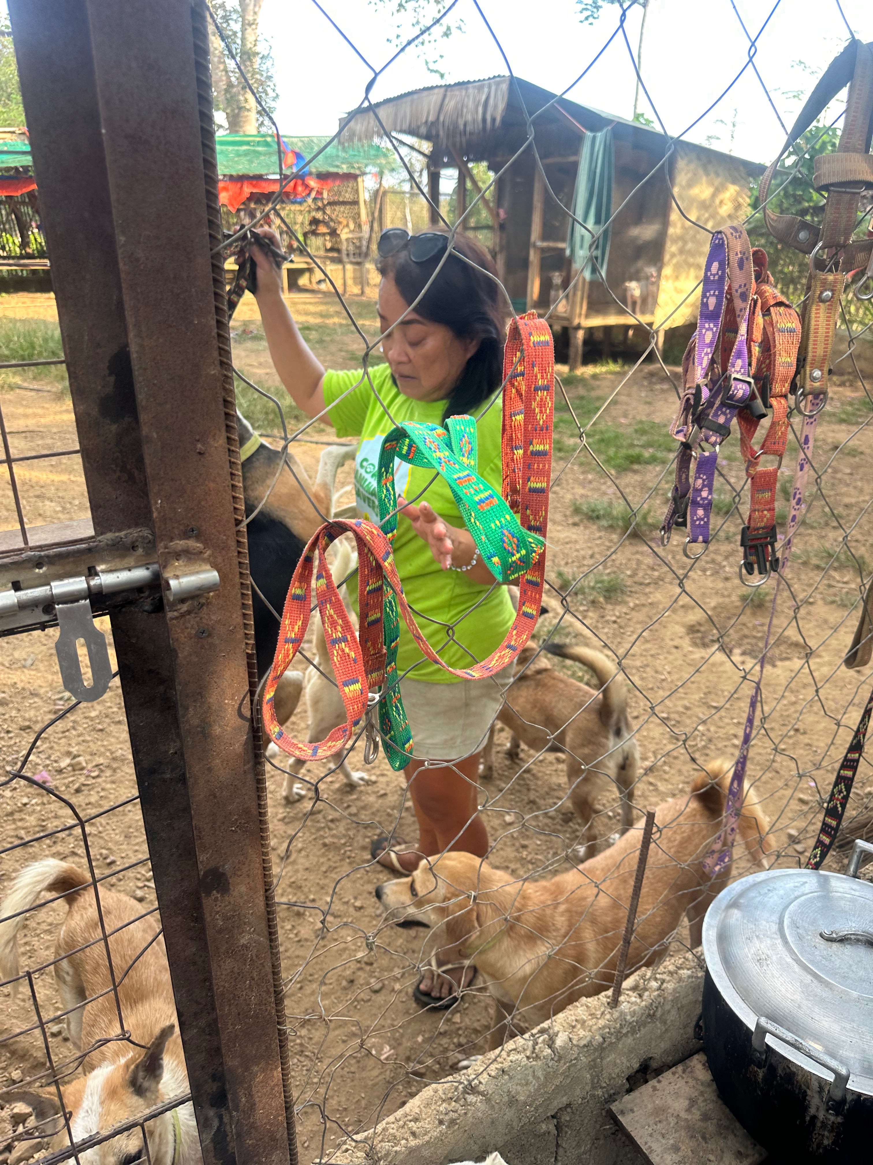 Coron Animal Savers - Philippines campaign photo, 5 of 8