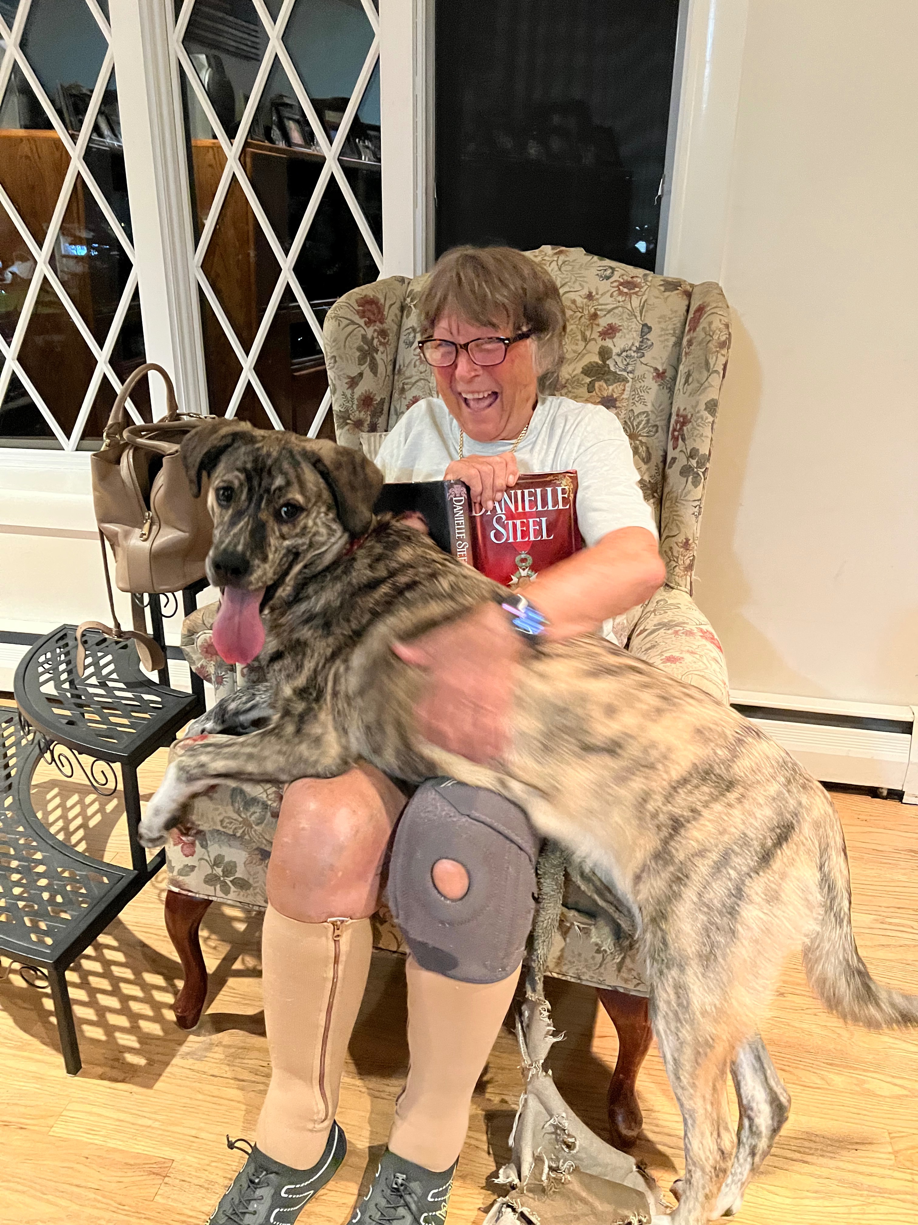 Help Lynn's Dog Get Life-Changing Surgery campaign photo, 2 of 8