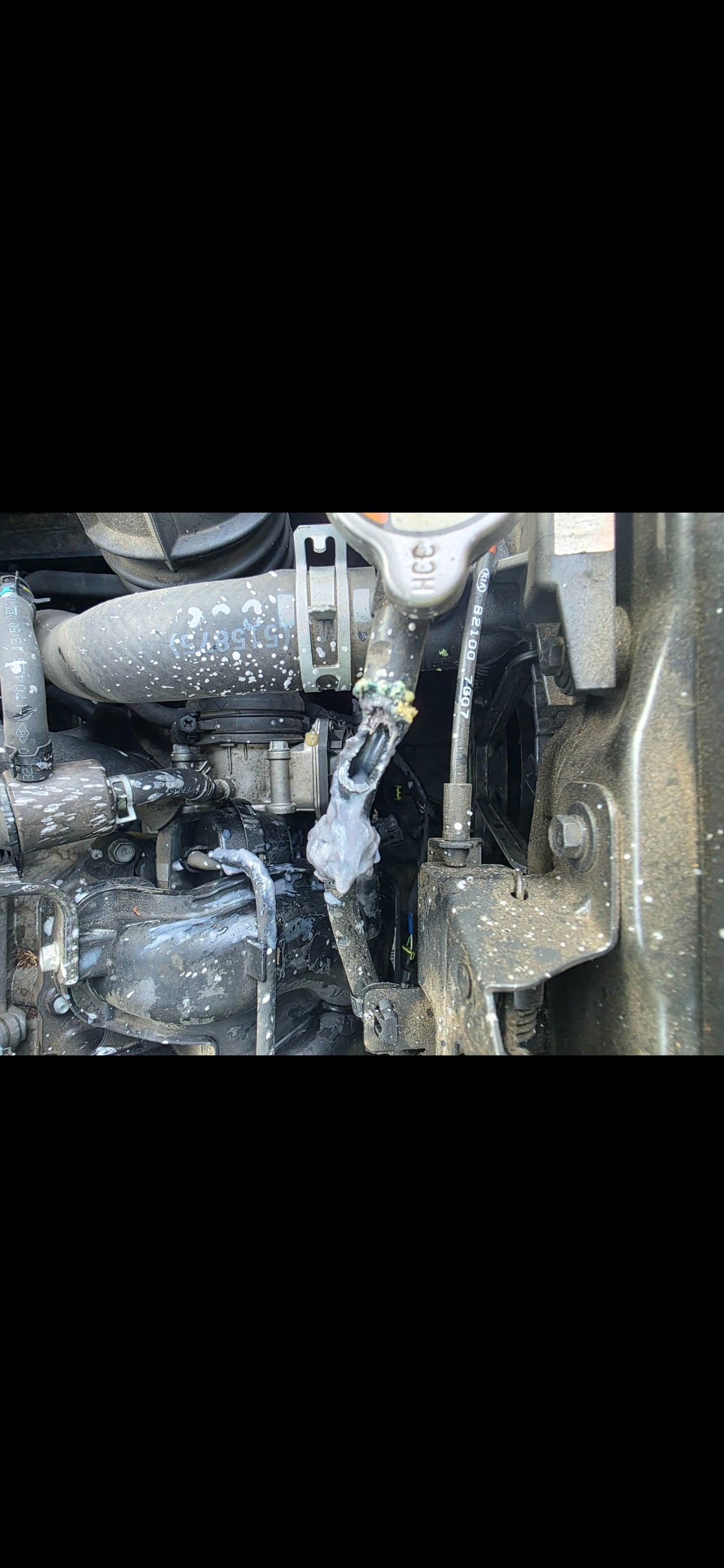 Help Me Get Back on the Road — Urgent Car Fund campaign photo, 2 of 7