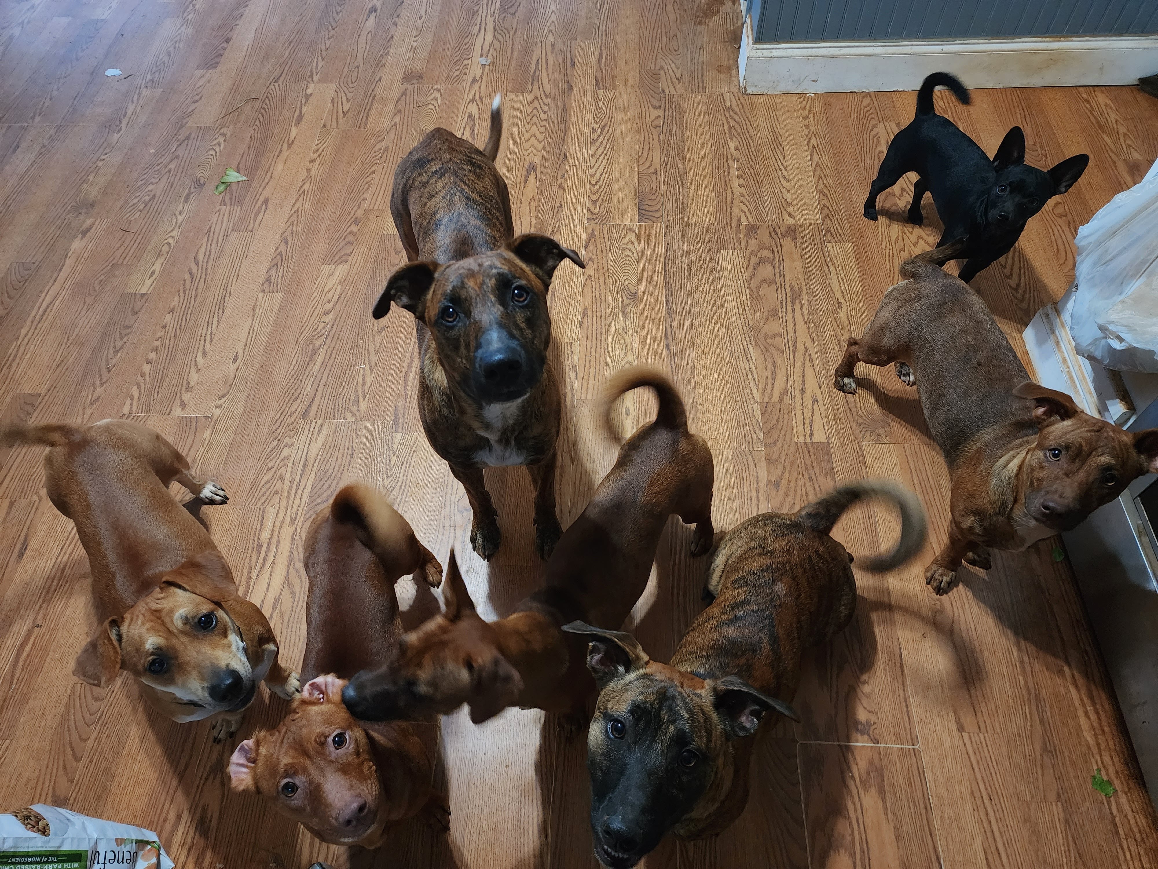 Help Me Get Back on the Road — Urgent Car Fund campaign photo, 5 of 7