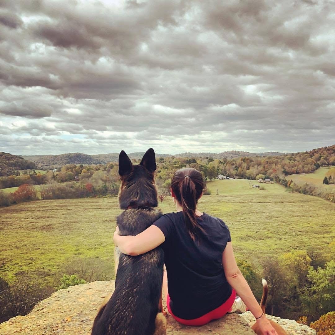 Help Remy, the German Shepherd campaign photo, 4 of 8