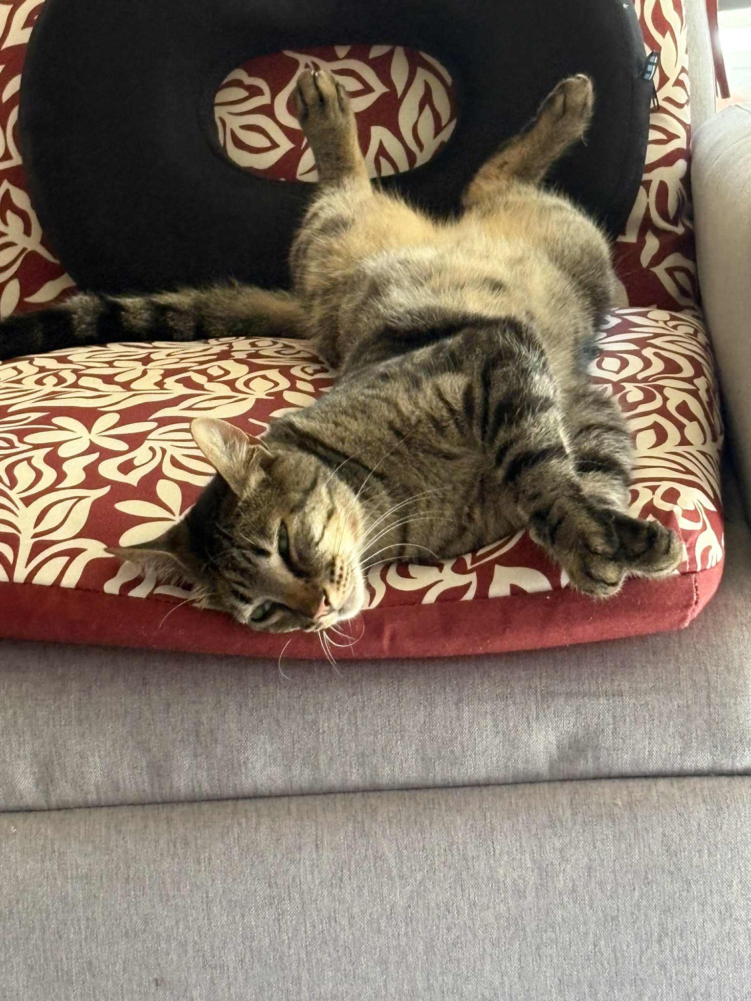 User-uploaded image 1