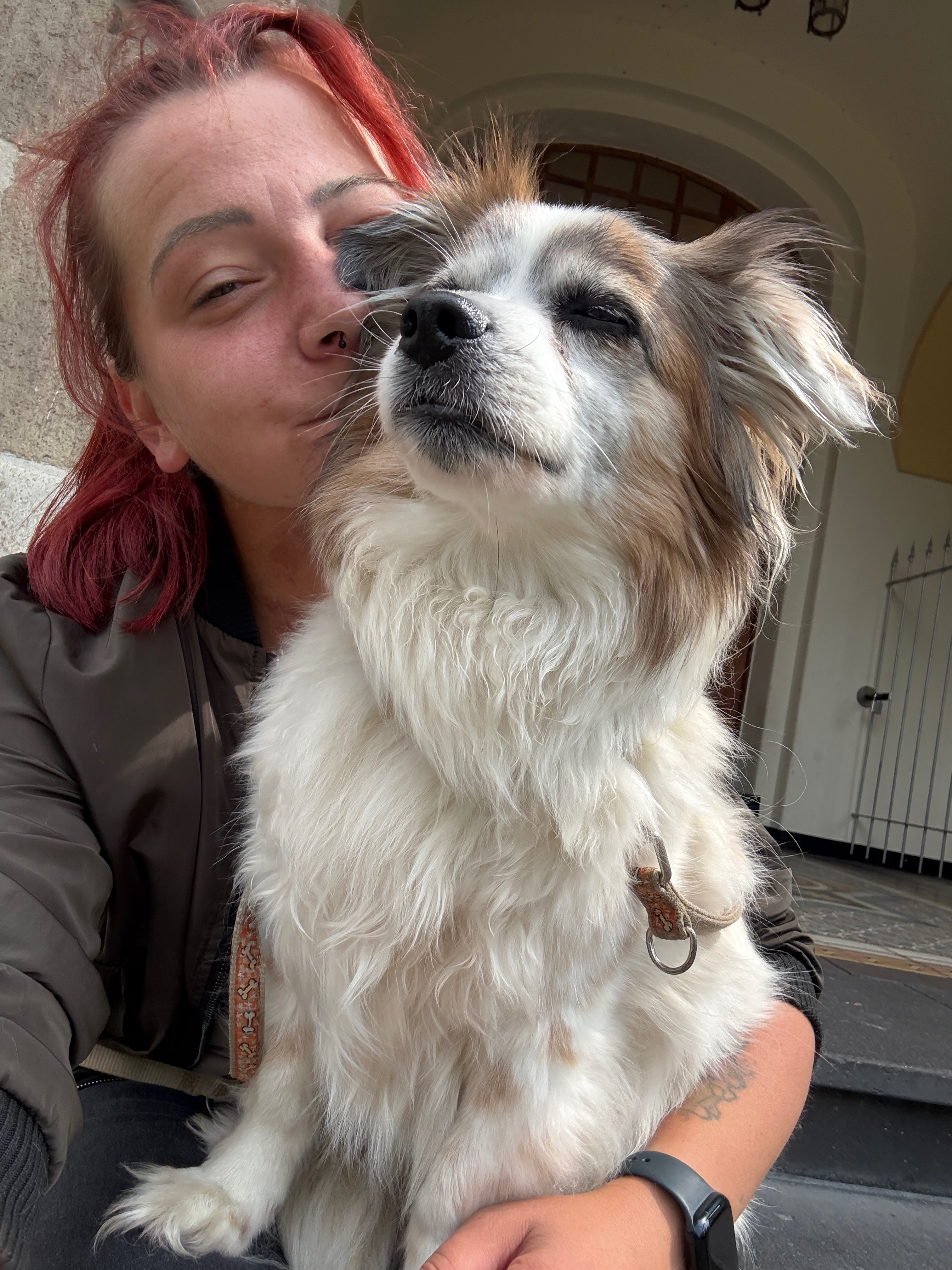 Hilfe für Nancy & Spike – Wir kämpfen ums Überleben campaign photo, 5 of 8