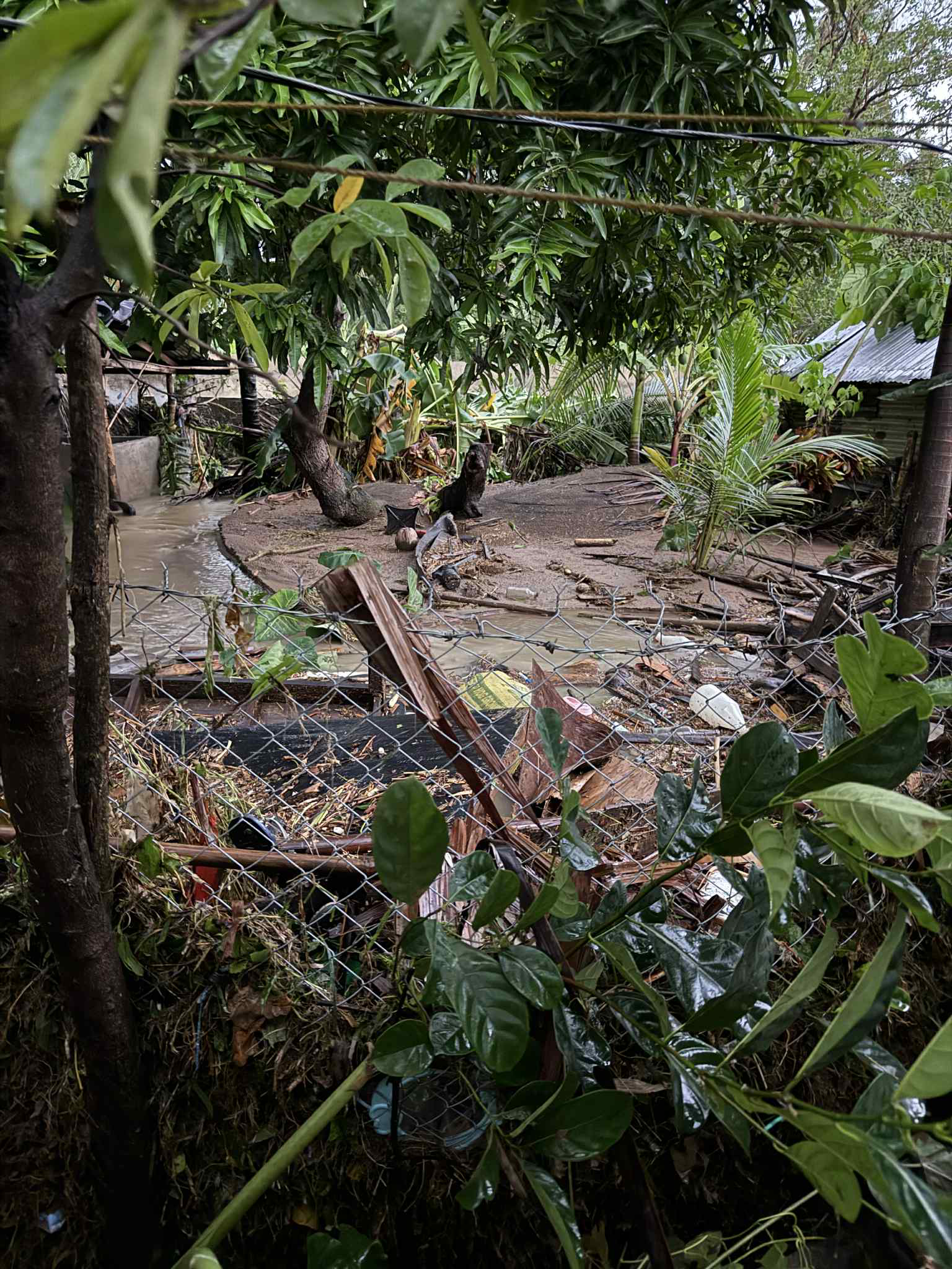 Cherry Needs Us — Her Family’s Home Was Destroyed by Typhoon campaign photo, 6 of 8