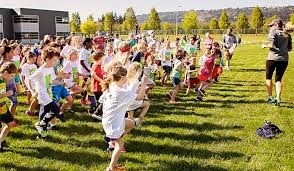 User-uploaded image 1