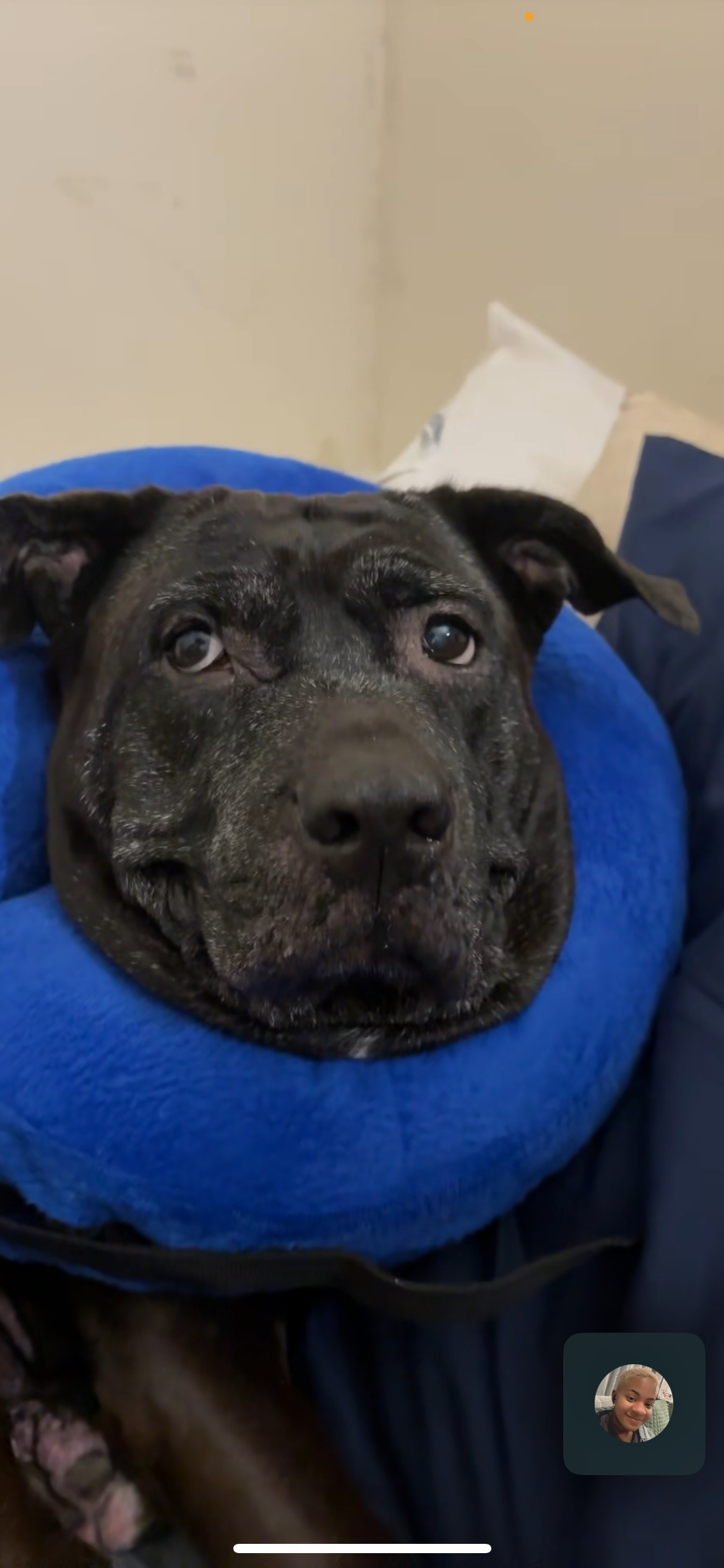 Support Nittie's Recovery After Surgery campaign photo, 2 of 8