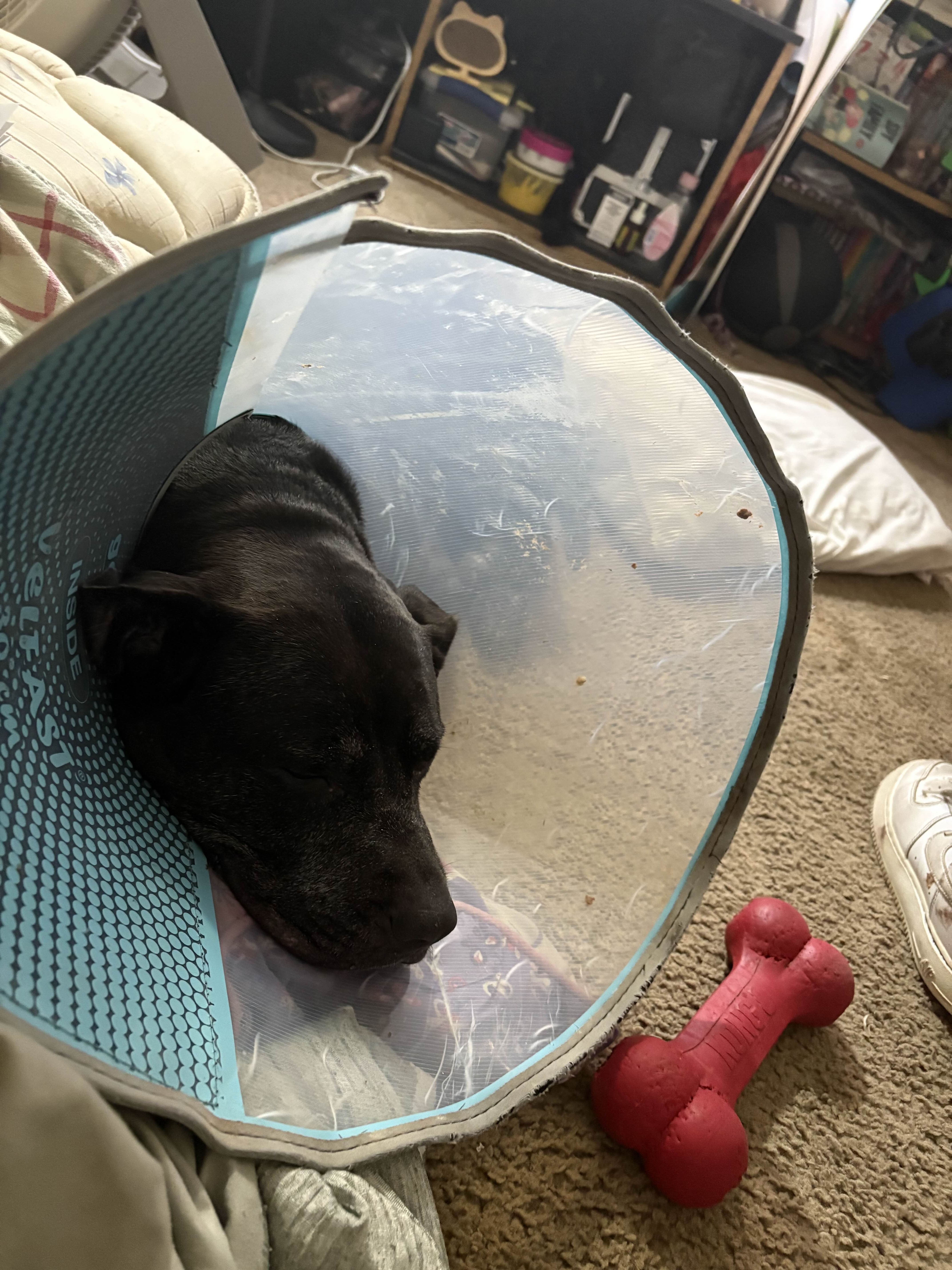 Support Nittie's Recovery After Surgery campaign photo, 6 of 8