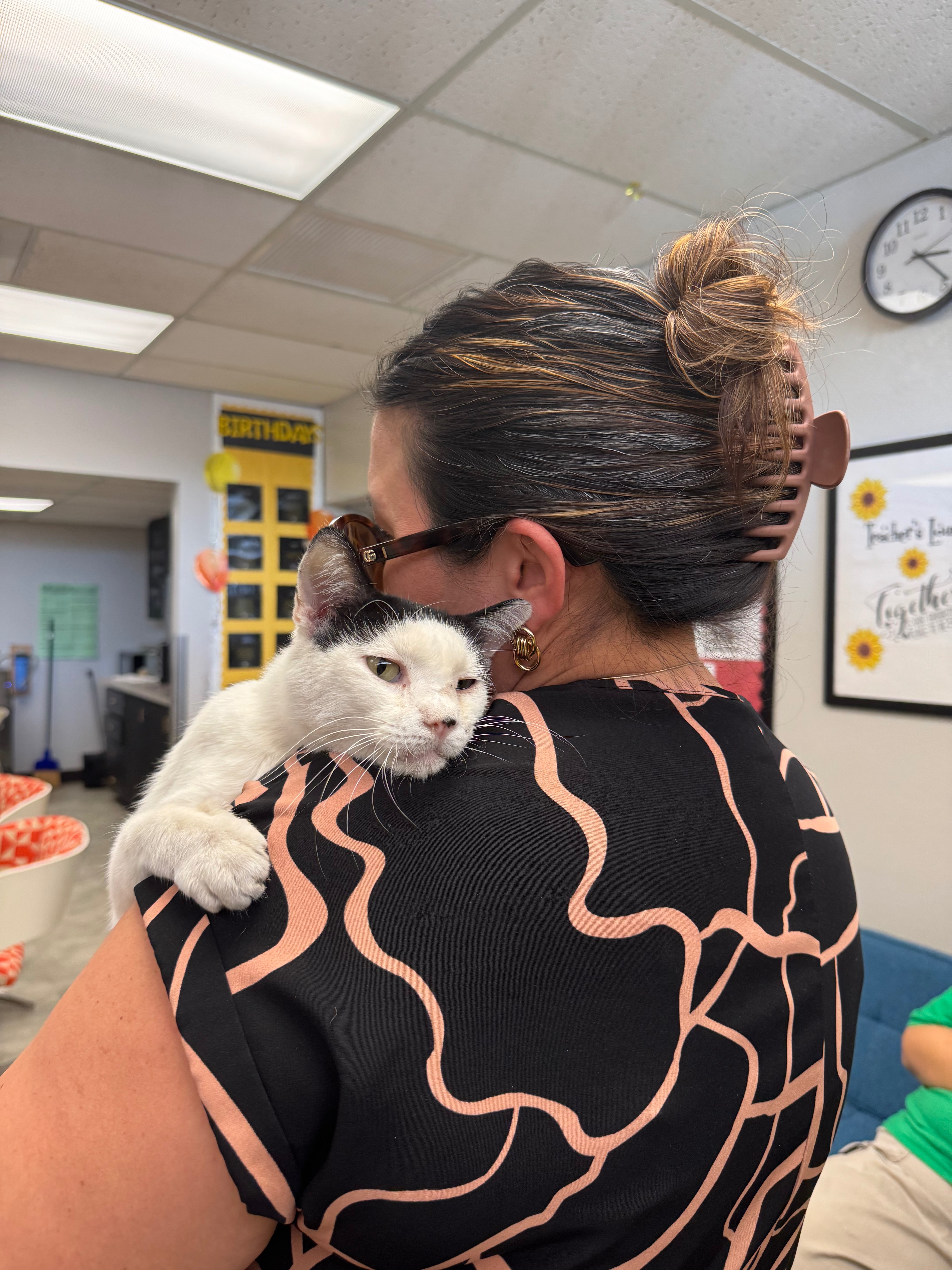 Vet Care for Professor Paws campaign photo, 2 of 5