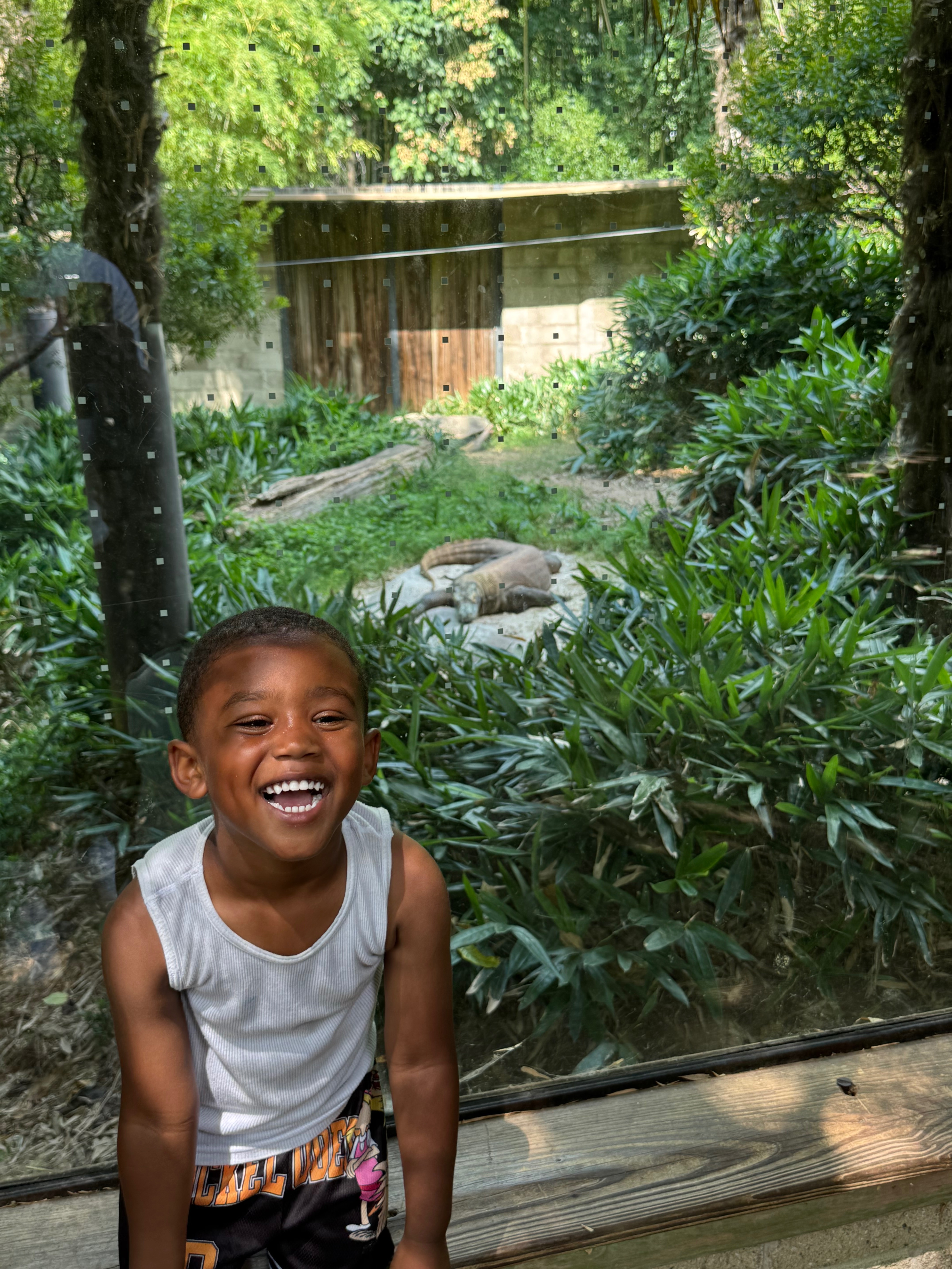 Help get Ocean into St Mary Feeding Program campaign photo, 4 of 5
