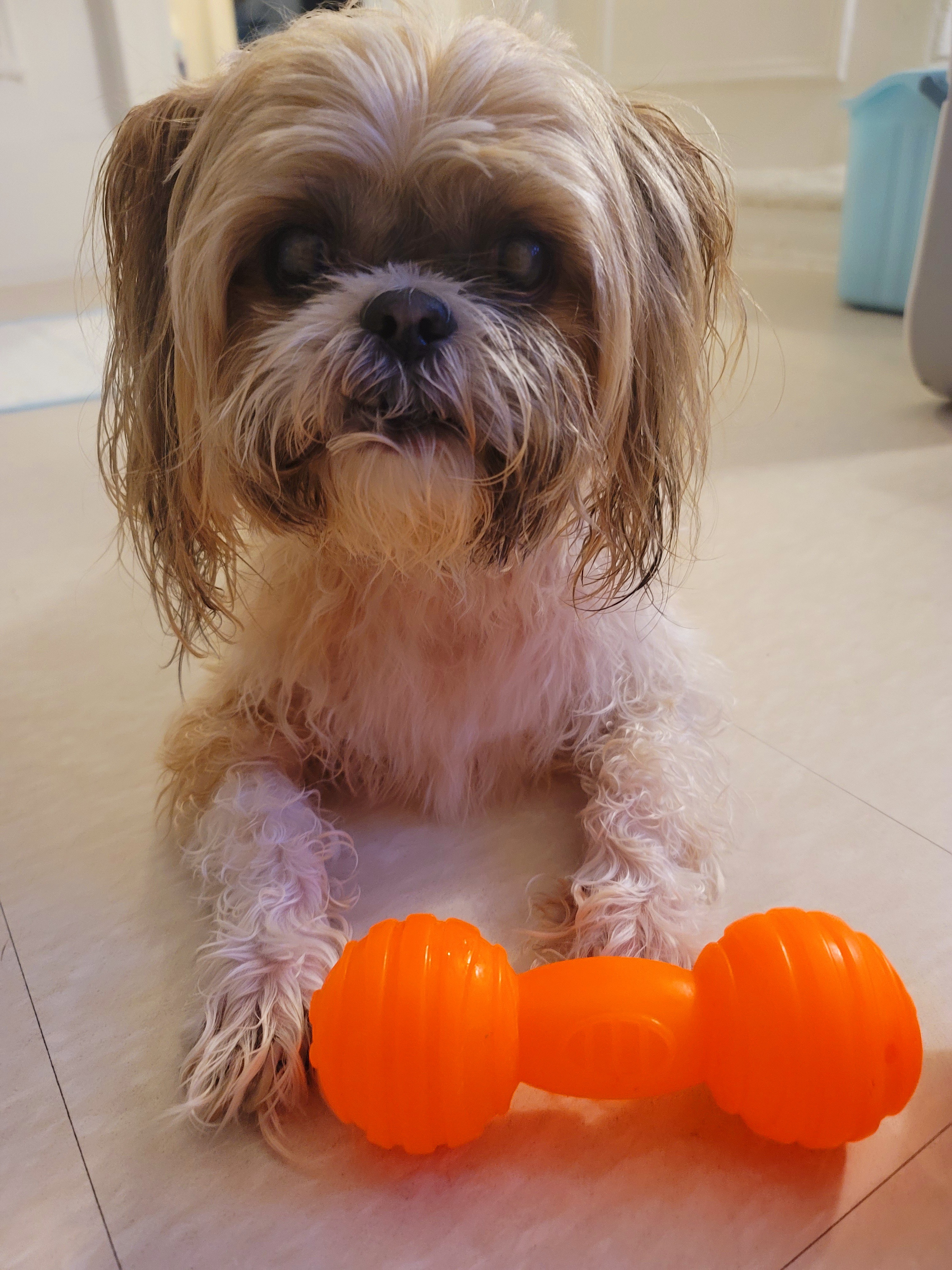 Help Cody Get Urgent Eye Surgery campaign photo, 6 of 8