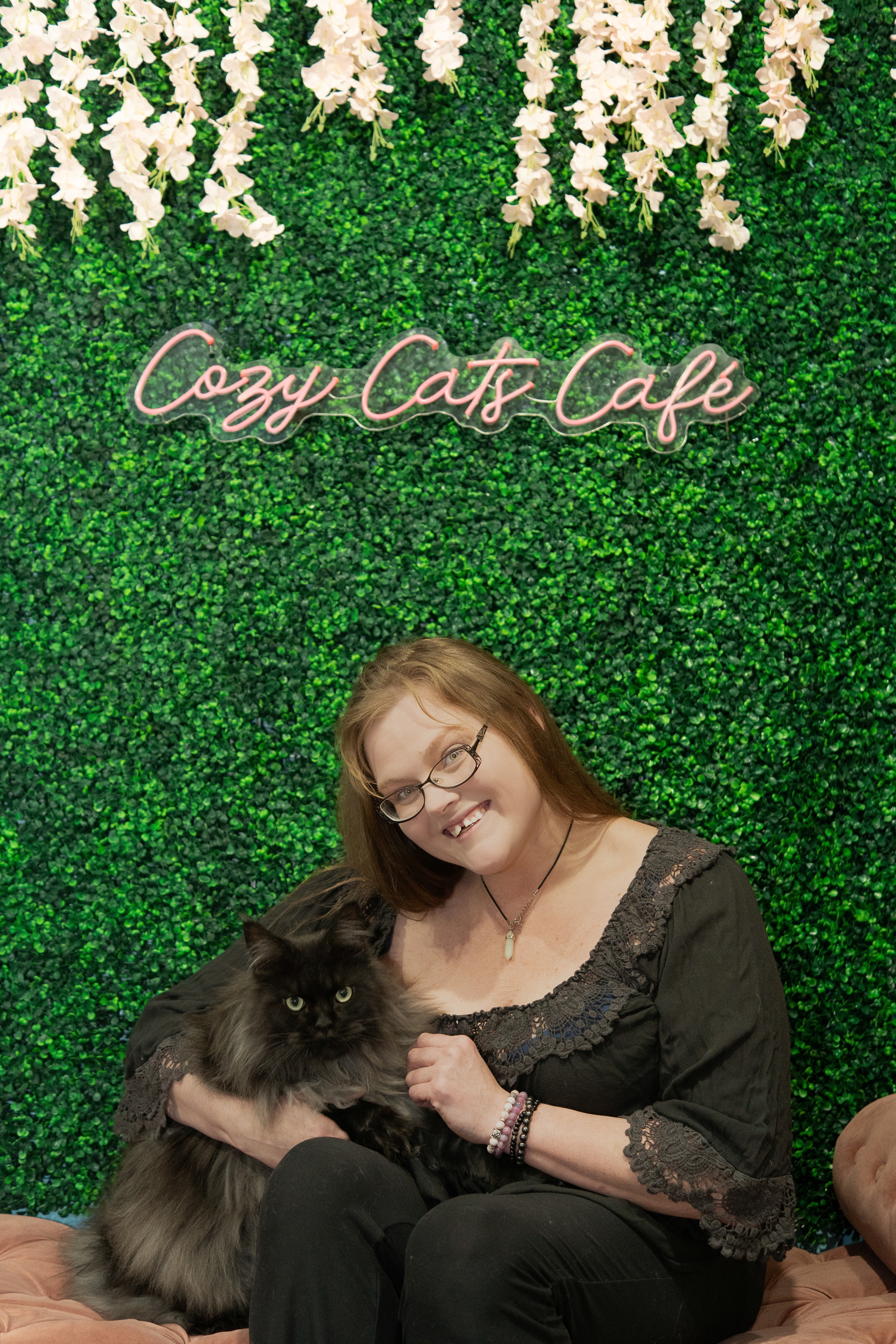 Help Cozy Cats Cafe Succeed! campaign photo, 4 of 8