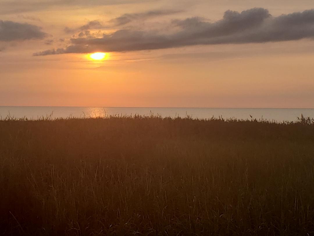 User-uploaded image 1