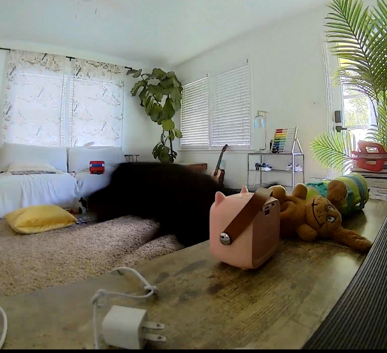 Please help us restore our home to safety! campaign photo, 4 of 5