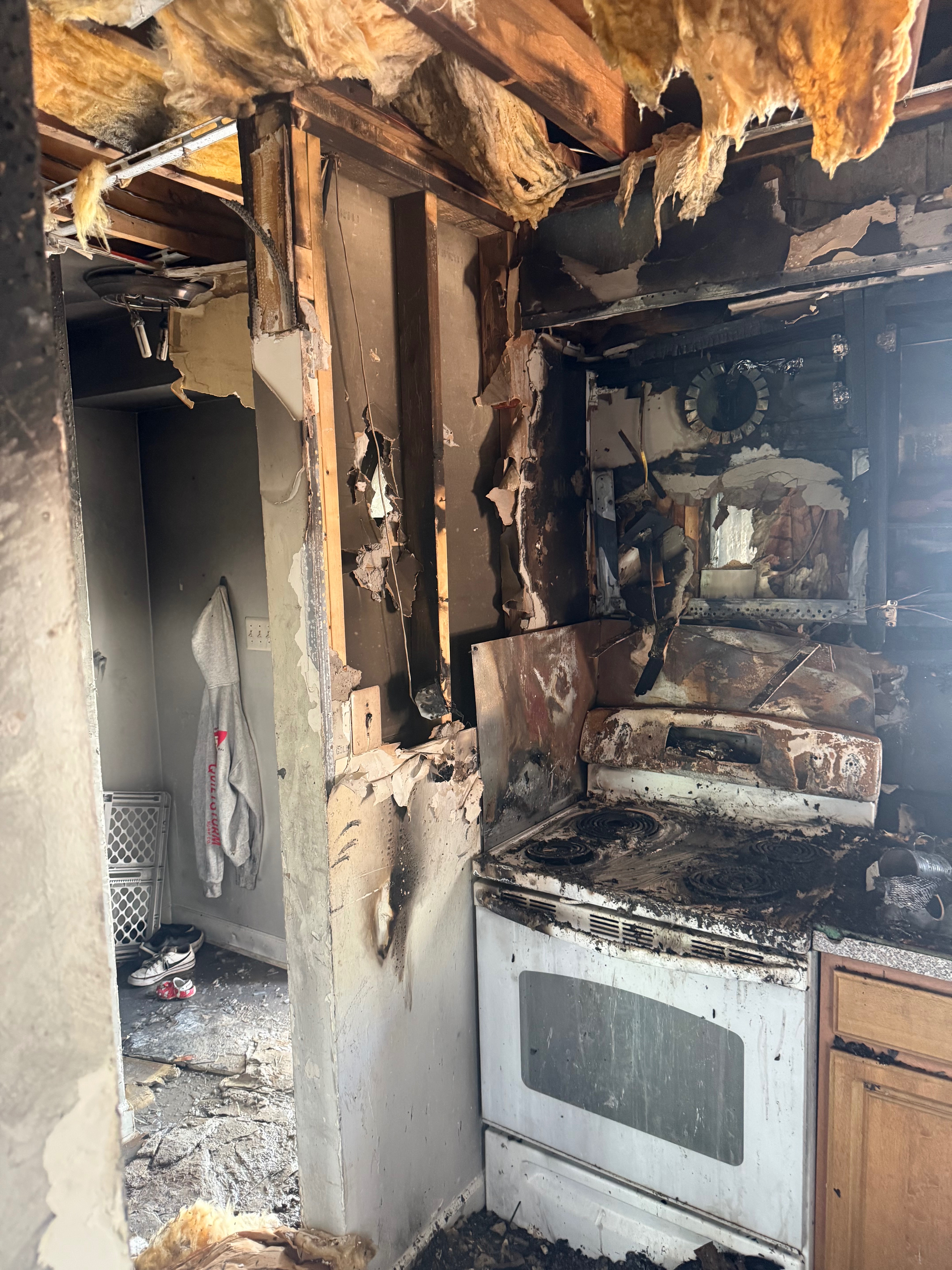 User-uploaded image 1