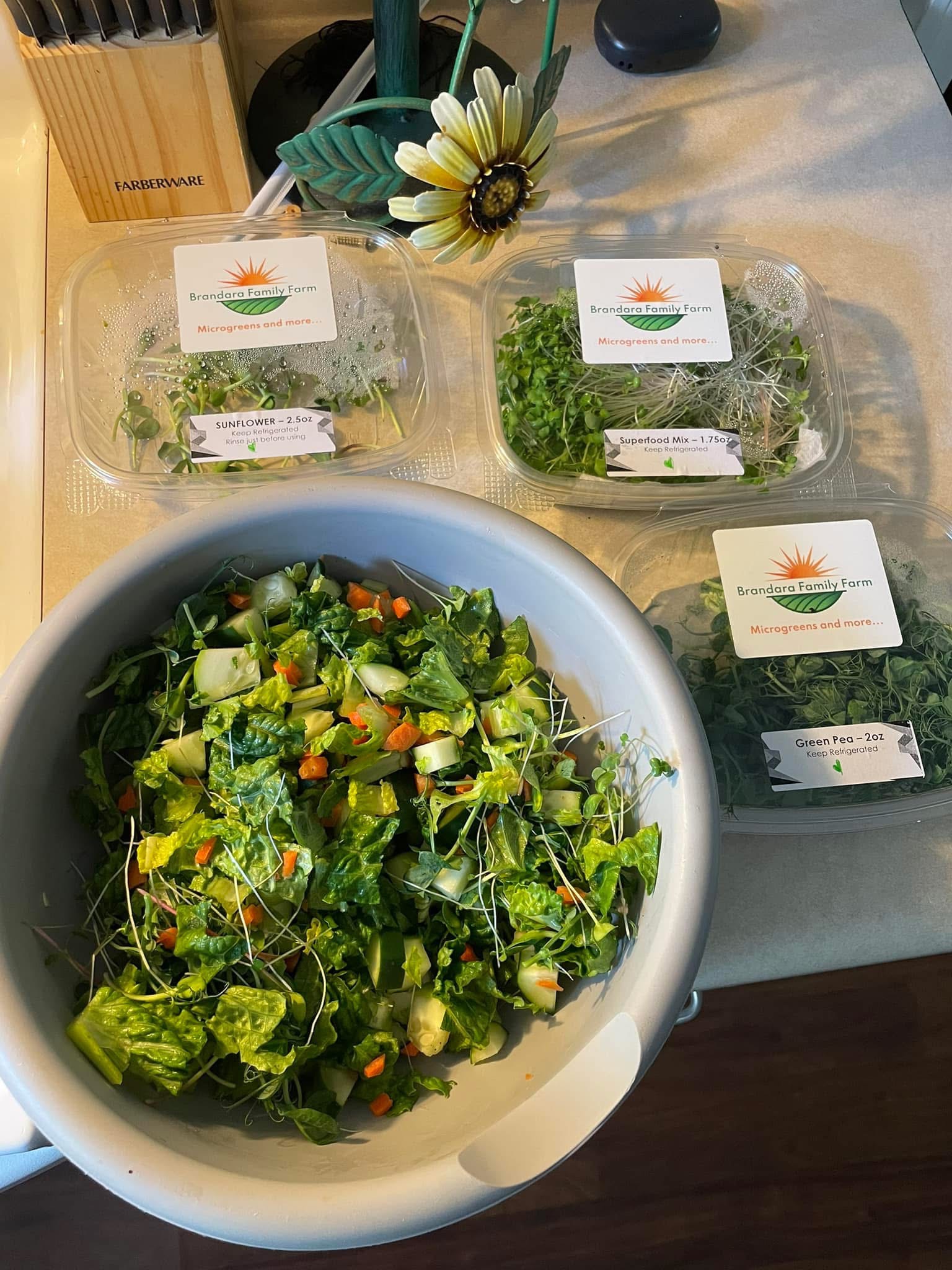 Help Brandara Family Farm Expand Healthy Food Access campaign photo, 5 of 8