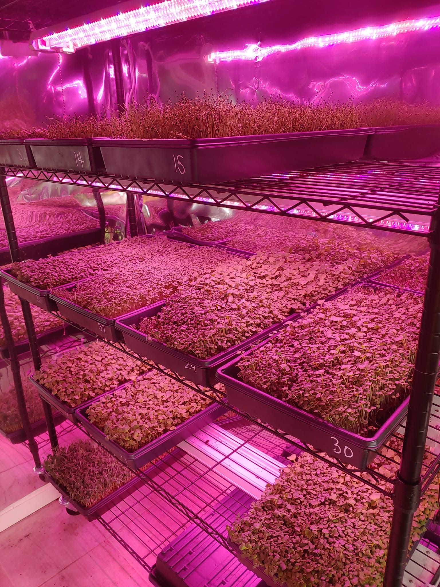 Help Brandara Family Farm Expand Healthy Food Access campaign photo, 6 of 8