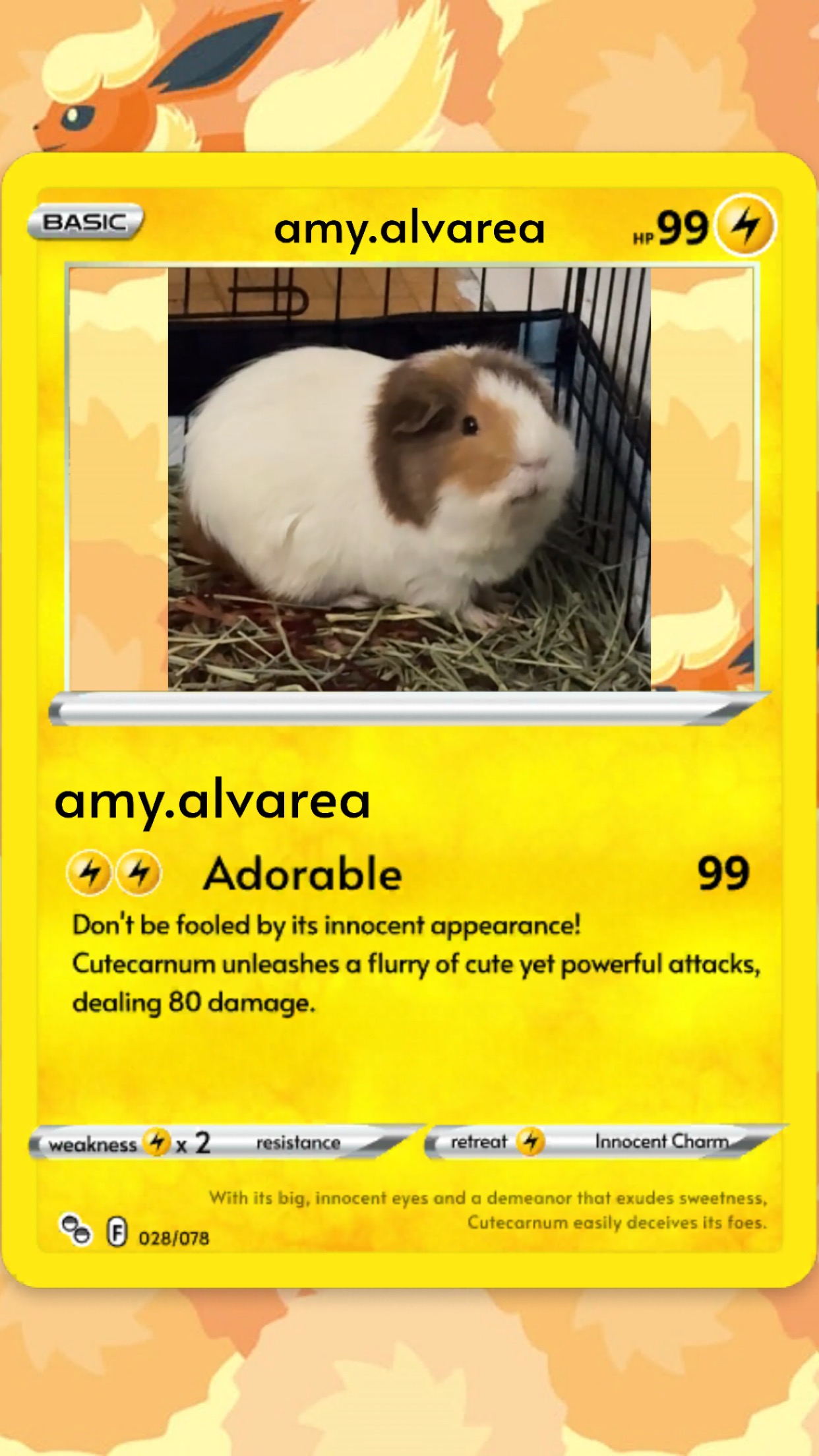 Help Moe the Guinea Pig Get Life-Saving Dental Surgery campaign photo, 2 of 8