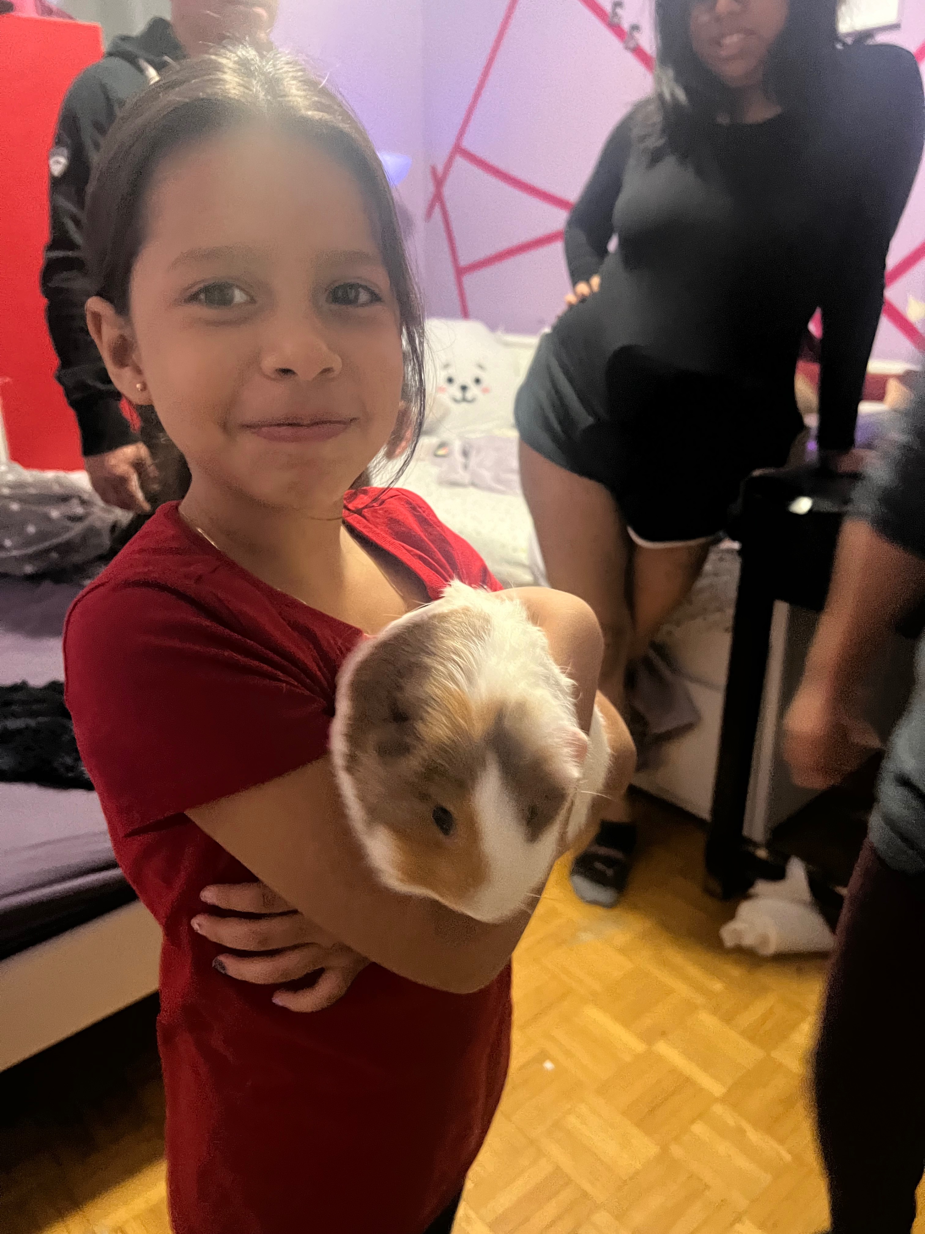 Help Moe the Guinea Pig Get Life-Saving Dental Surgery campaign photo, 6 of 8