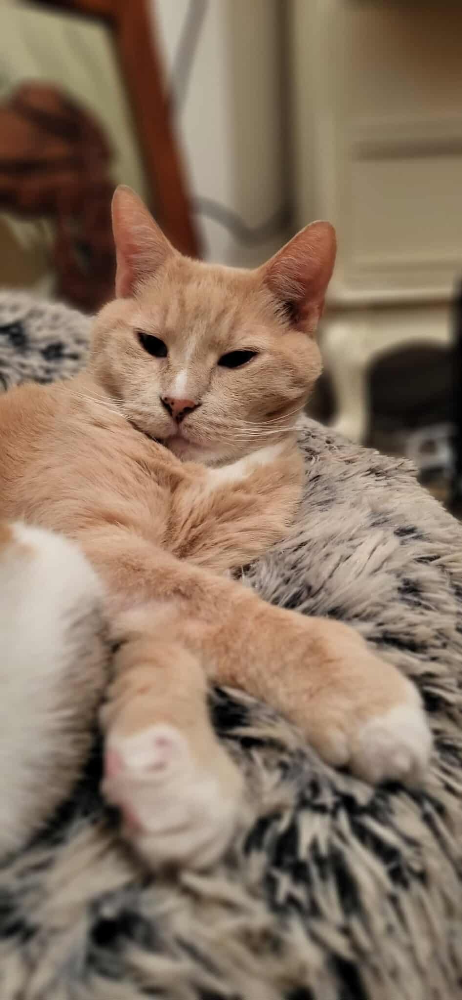 User-uploaded image 1