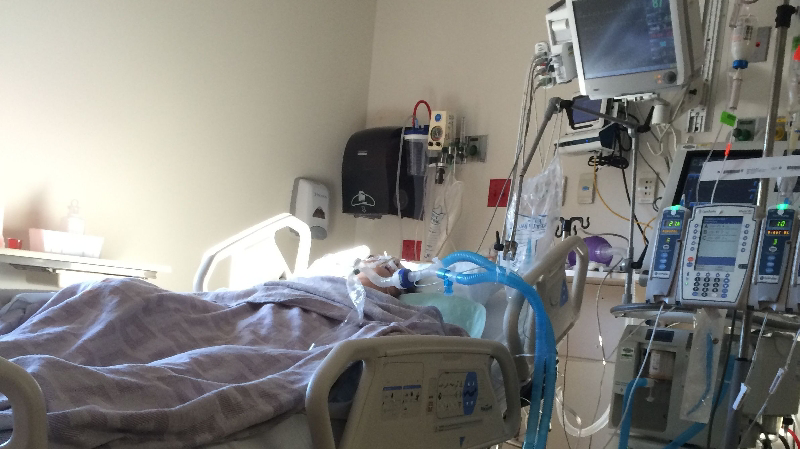 Bring Janet Home-Support Her Flight to Recover photo