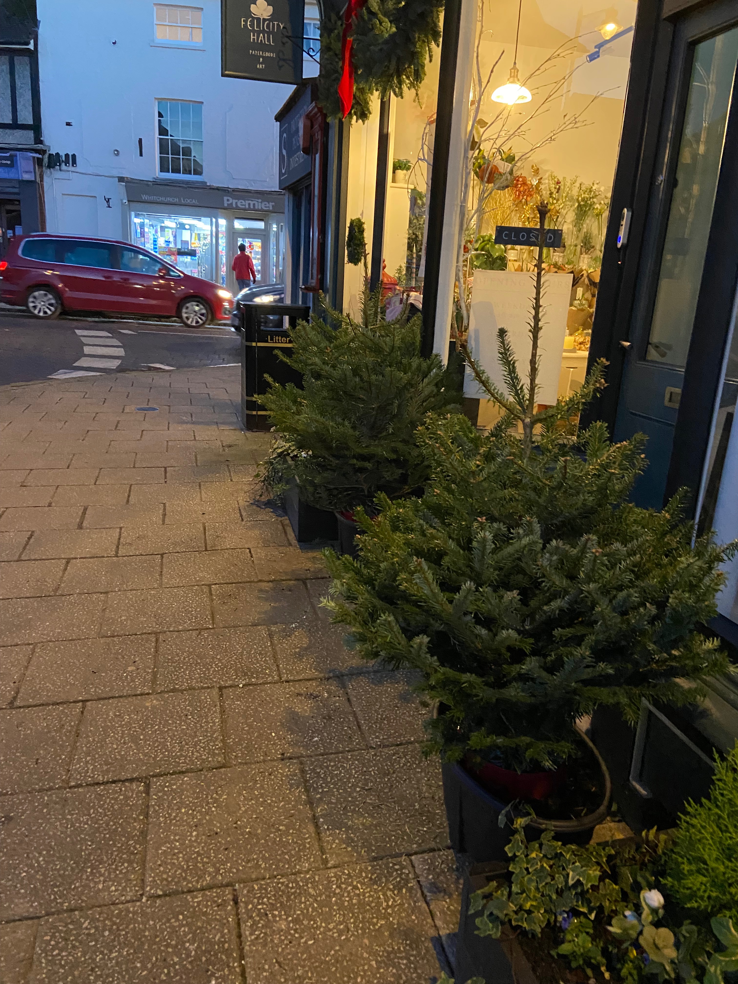 Whitchurch in Bloom campaign photo, 2 of 8