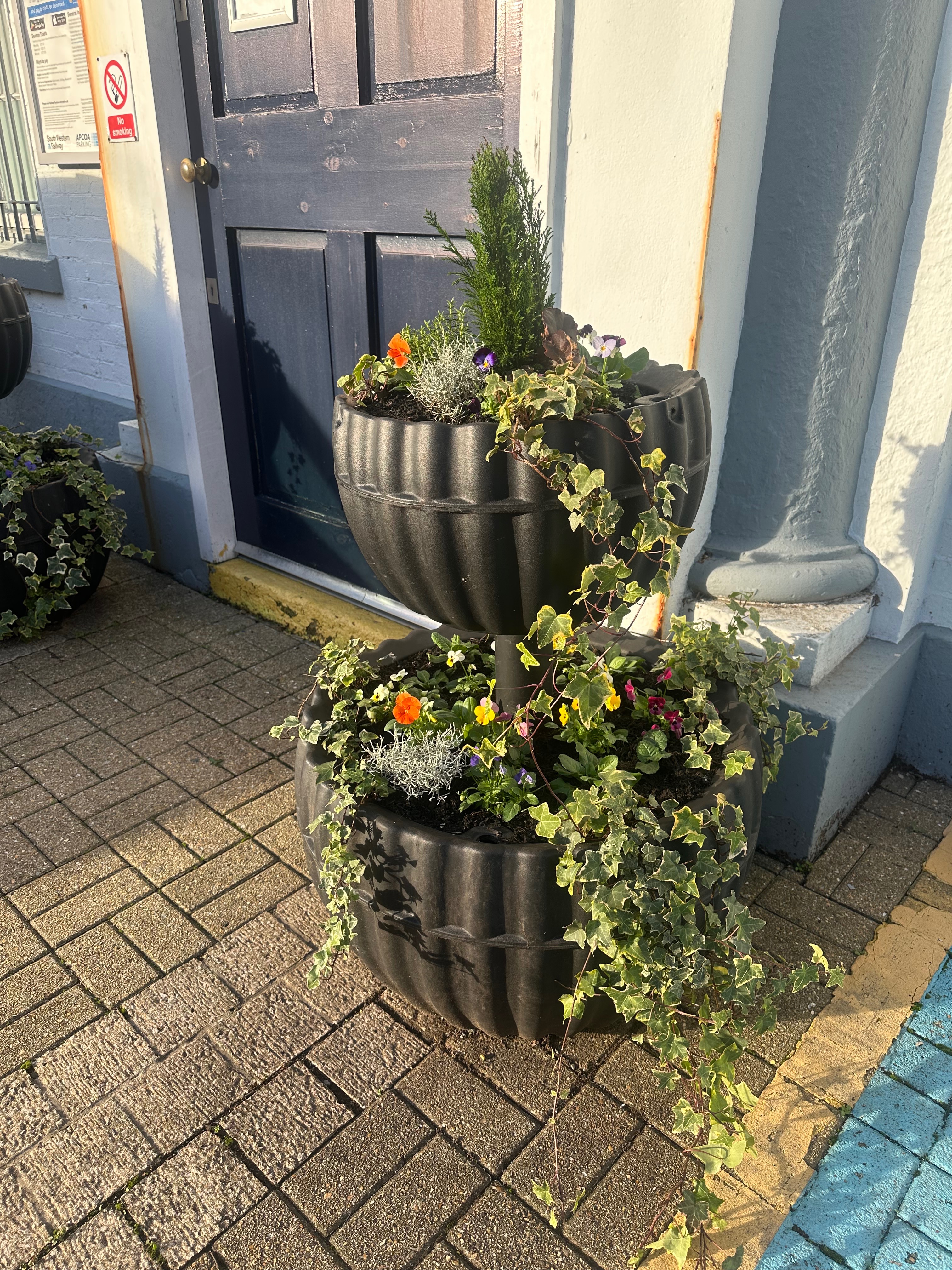 Whitchurch in Bloom campaign photo, 4 of 8