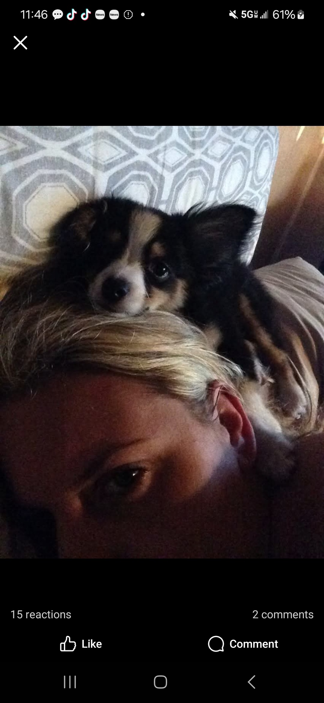 Help Remy get out of Diabetic Ketoacidosis!! campaign photo, 6 of 7