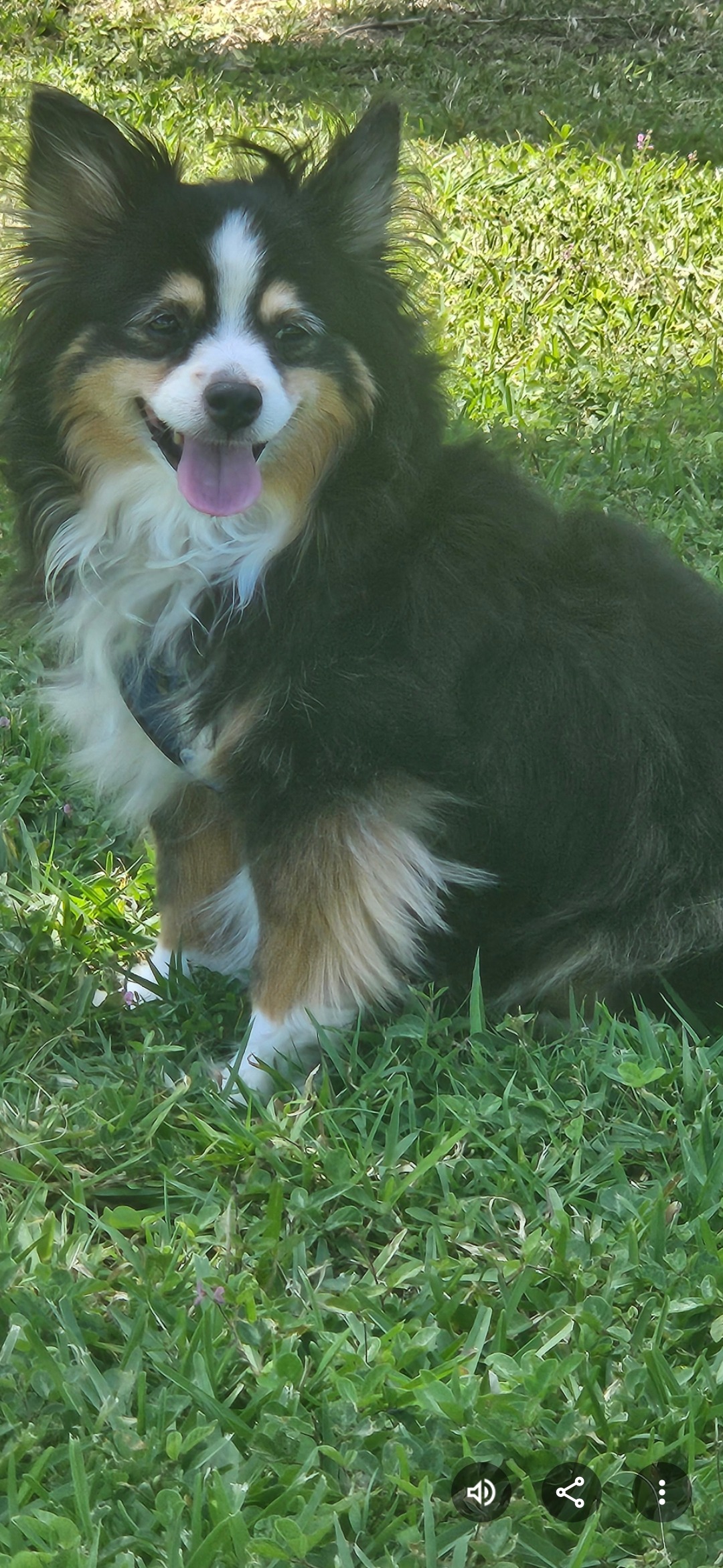 Help Remy get out of Diabetic Ketoacidosis!! campaign photo, 4 of 7