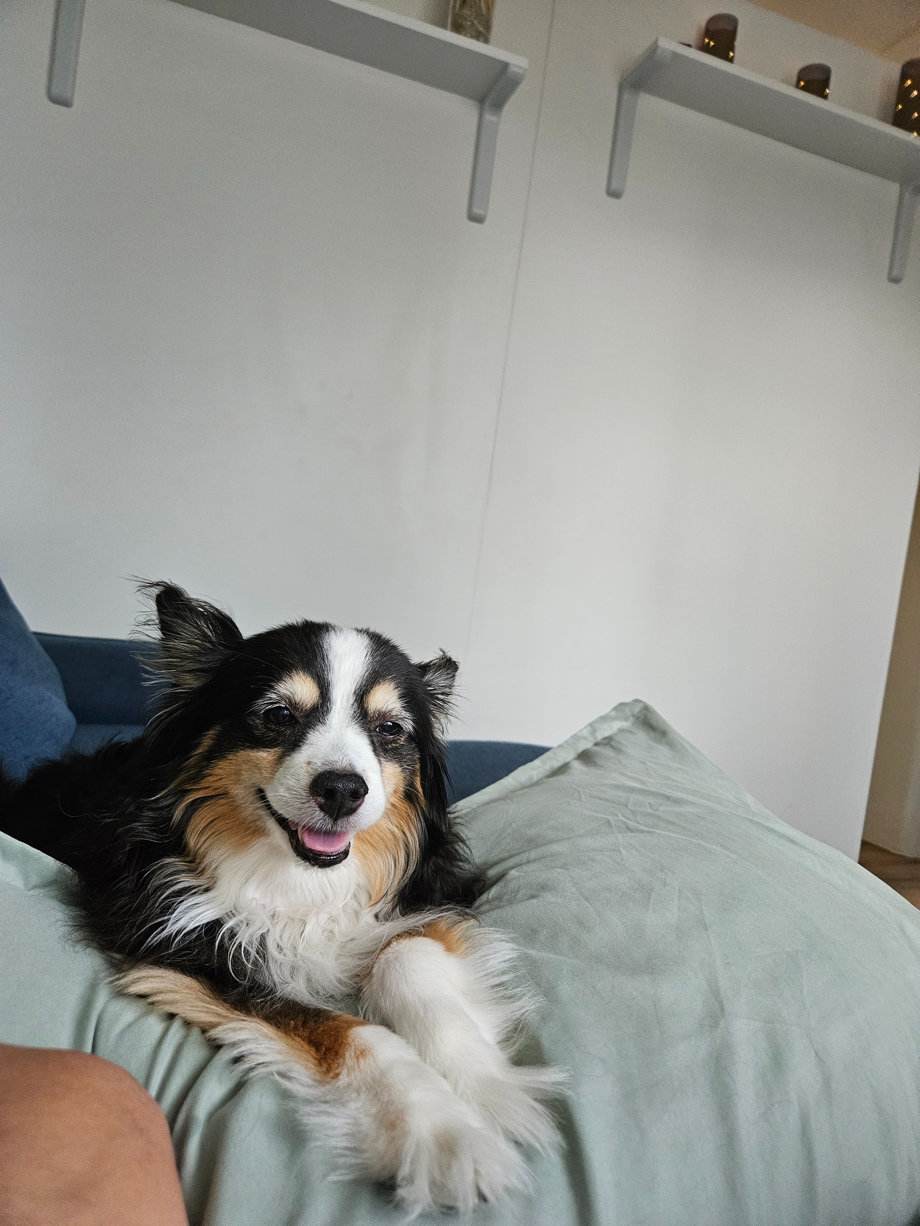Help Remy get out of Diabetic Ketoacidosis!! campaign photo, 5 of 7