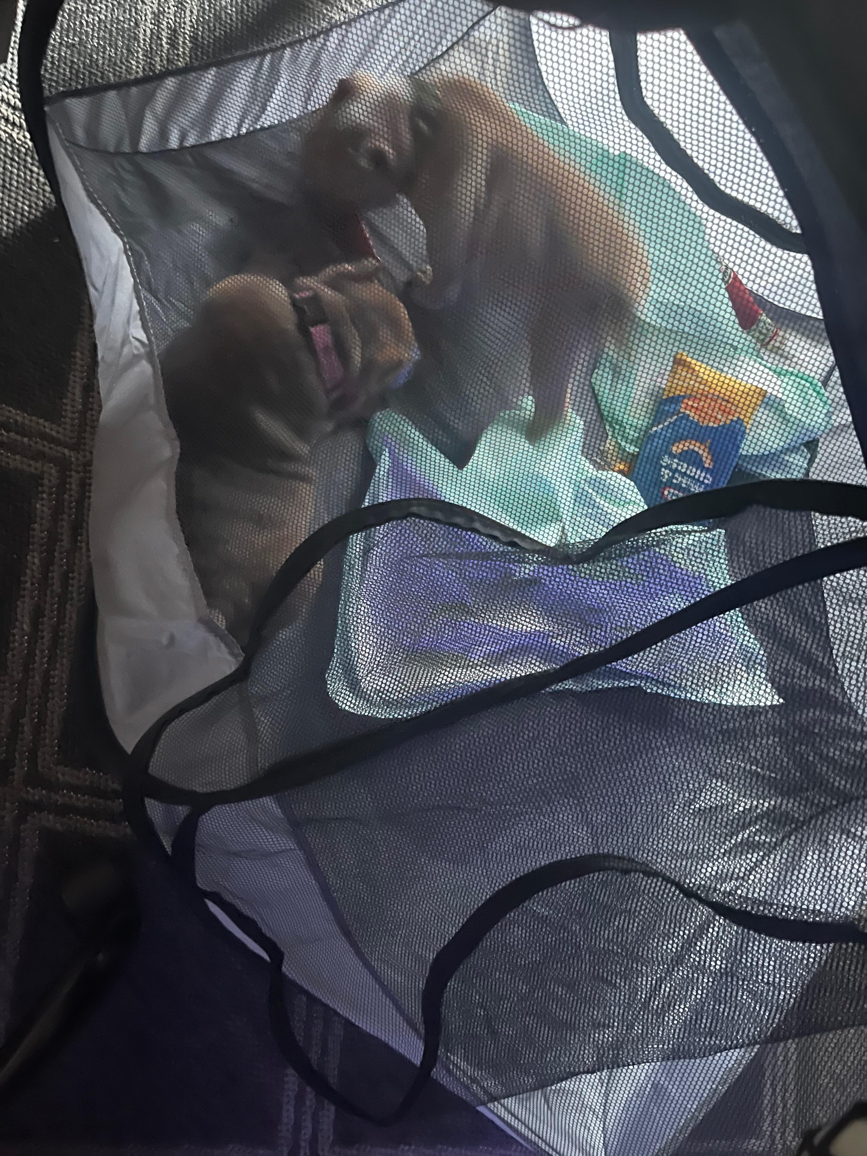 Help Zeus! campaign photo, 5 of 8