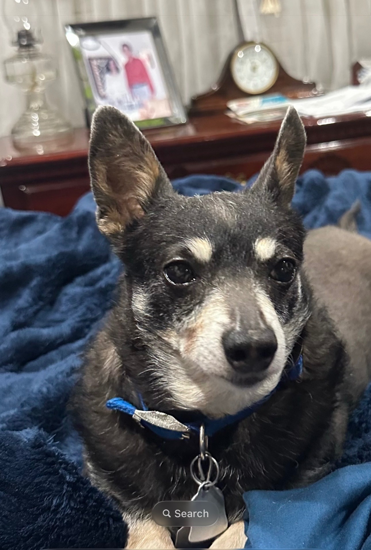 Justice 4 Joey: Legal Action for His Death campaign photo, 2 of 8